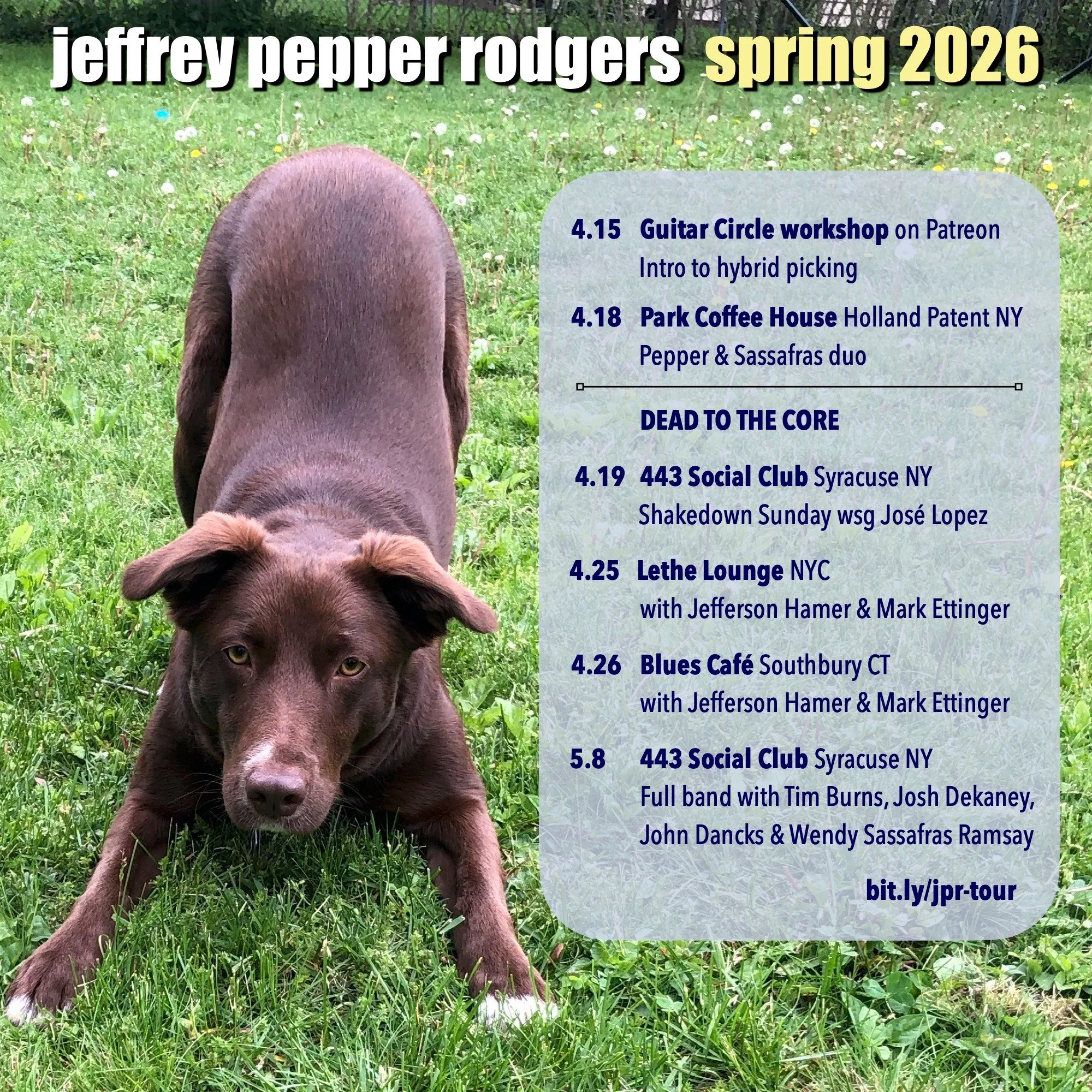 Let's go!

4/15 Intro to hybrid picking workshop on Patreon

4/18 Park Coffee House, Holland Patent NY - Pepper &amp; Sassafras 

4/19 Shakedown Sunday with special guest Jos&eacute; Lopez at the 443 Social Club, Syracuse

Dead to the Core with Jeffe