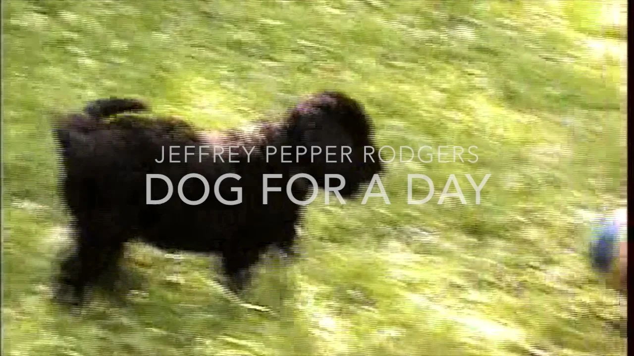 Dog for a Day original video still.jpg