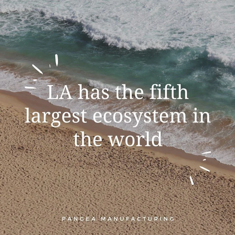 Did you know? LA County has such a large economy, it holds endless opportunity for it&rsquo;s businesses.