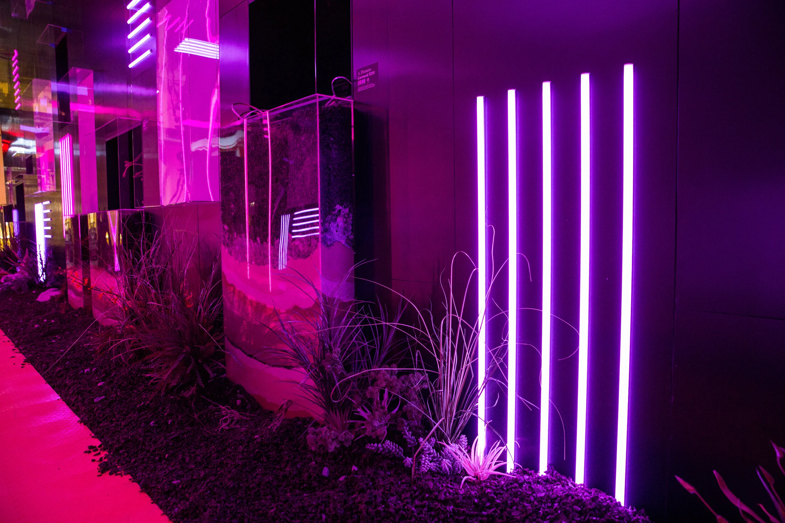 Copy of Copy of AHUMAN-58.JPG