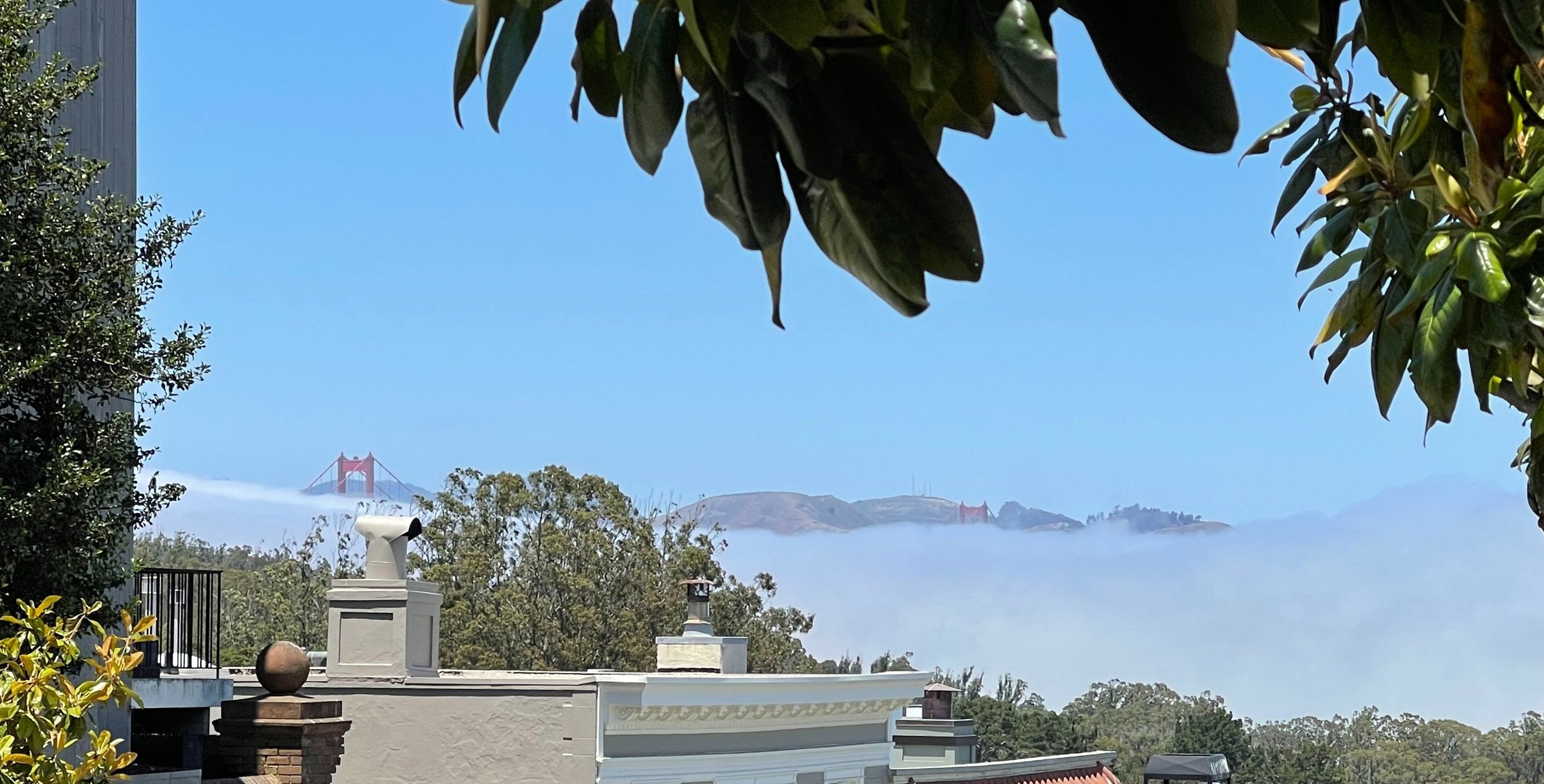 IMG_6632.jpg