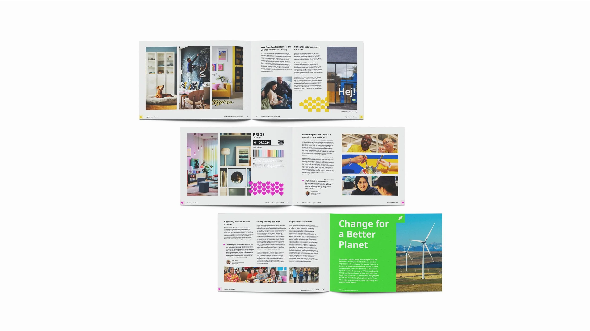2024 SUMMARY REPORT + ICON SYSTEM
