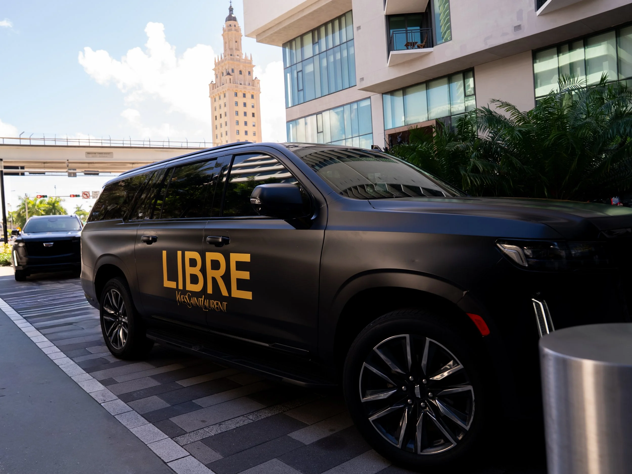 Firefly YSL SWARM-12.jpg