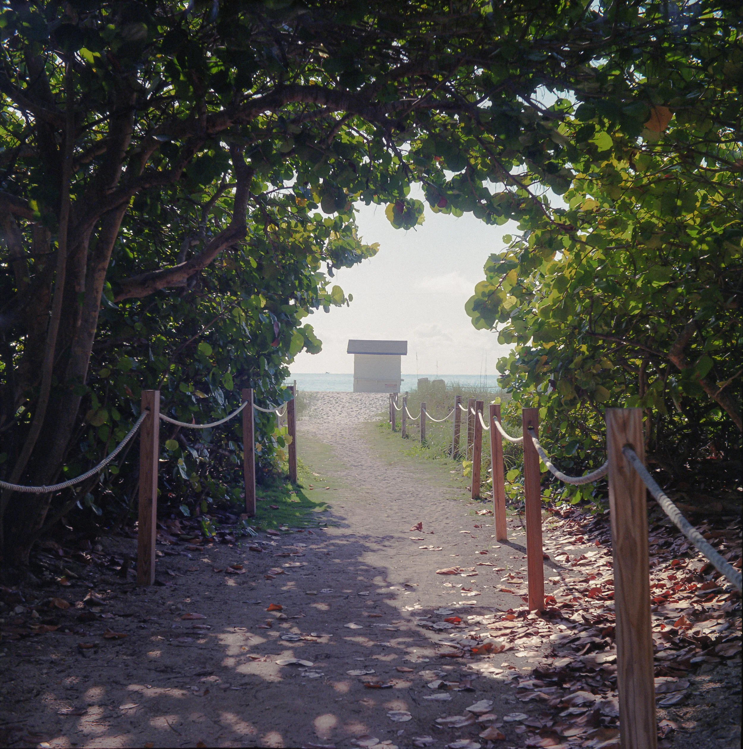 6.18.22 Miami Beach Kodak Gold 200-7.jpg
