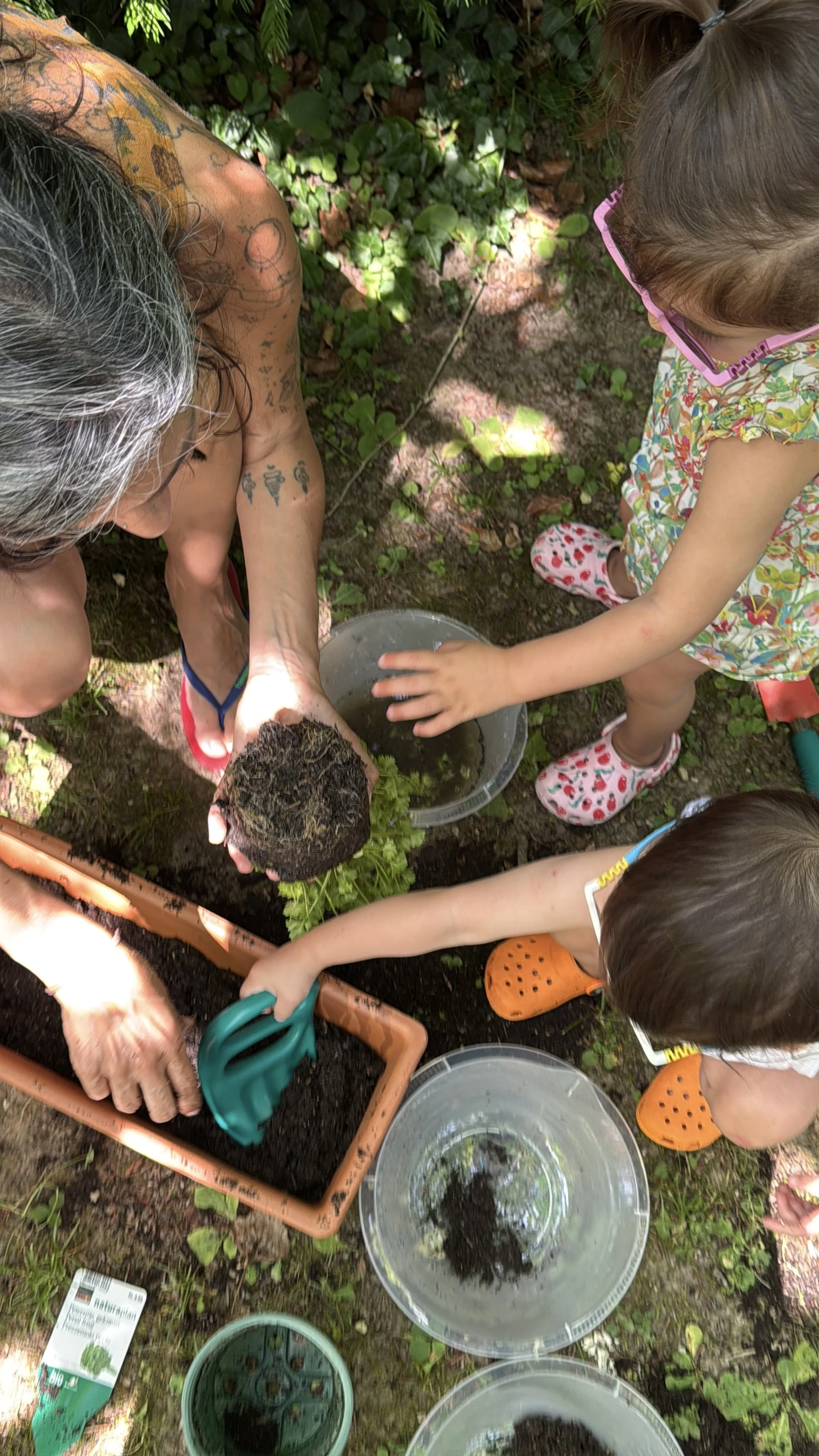  Little creative gardeners