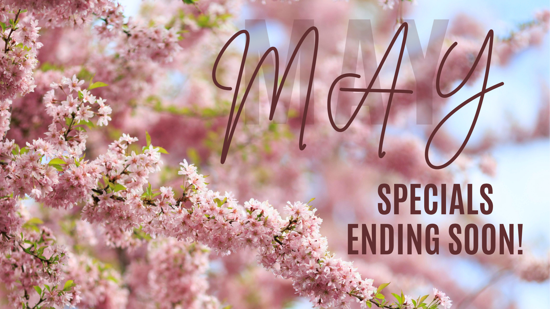 Smart Savings This Season