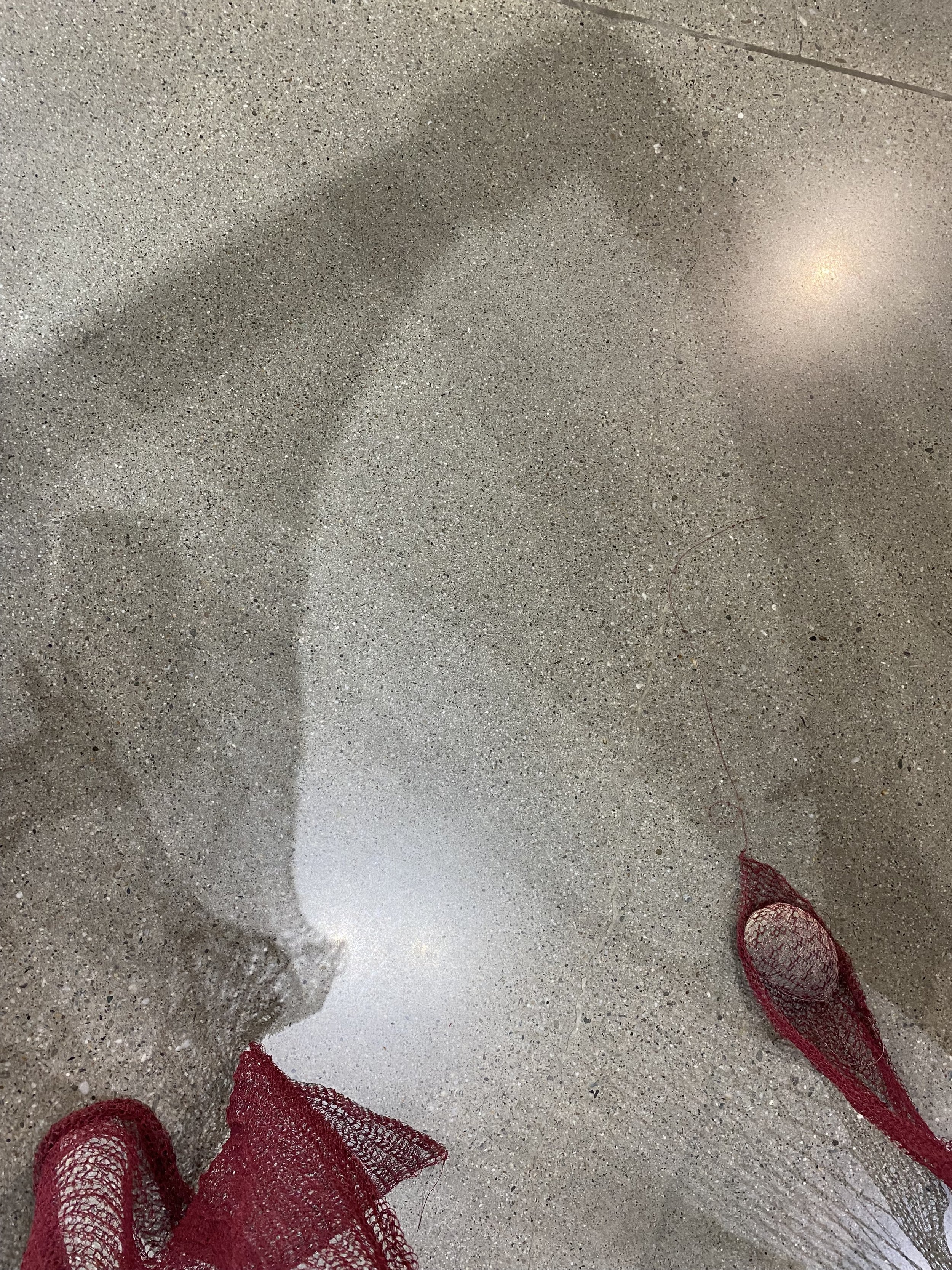 IMG_5063.jpeg