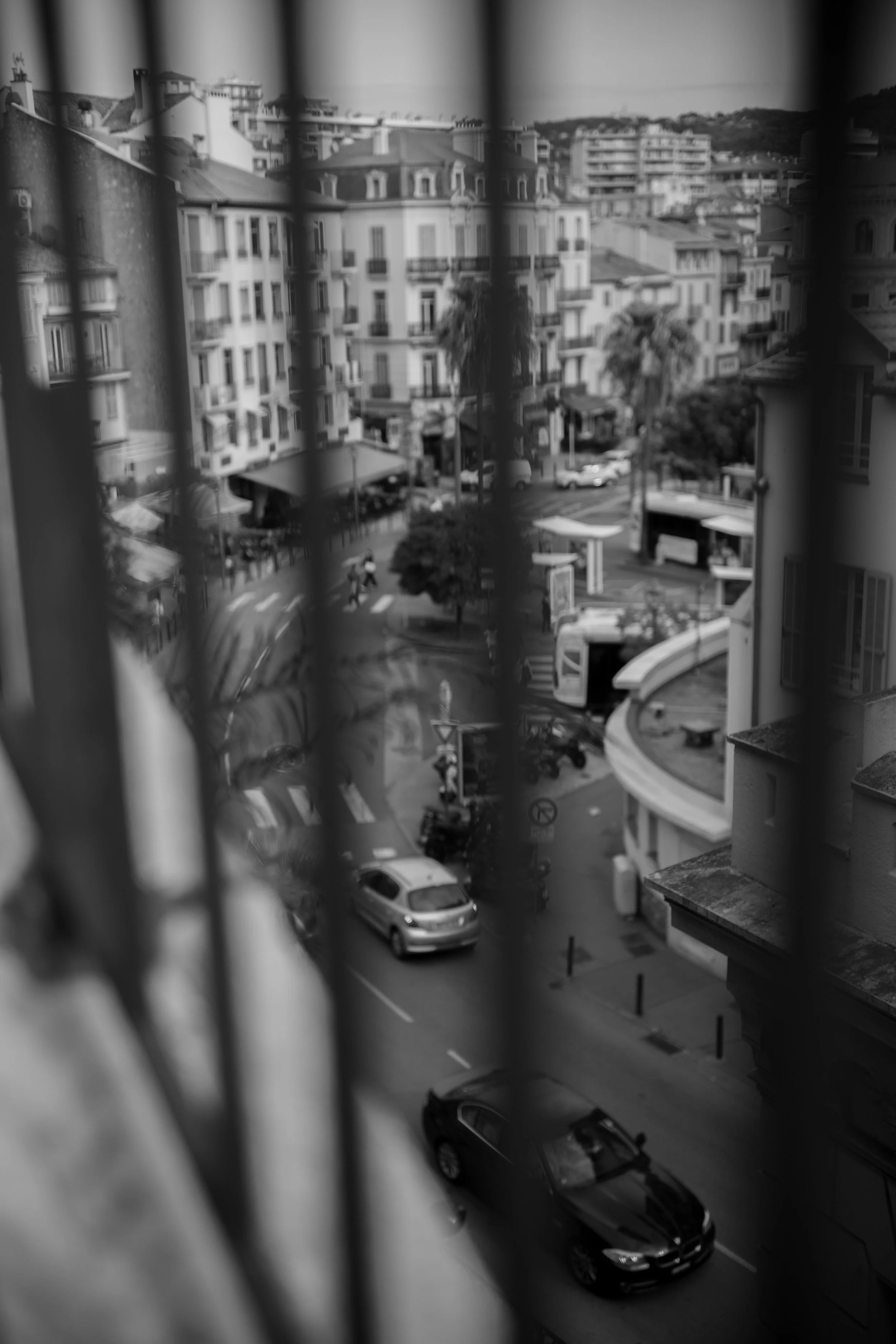 LN505960.jpg