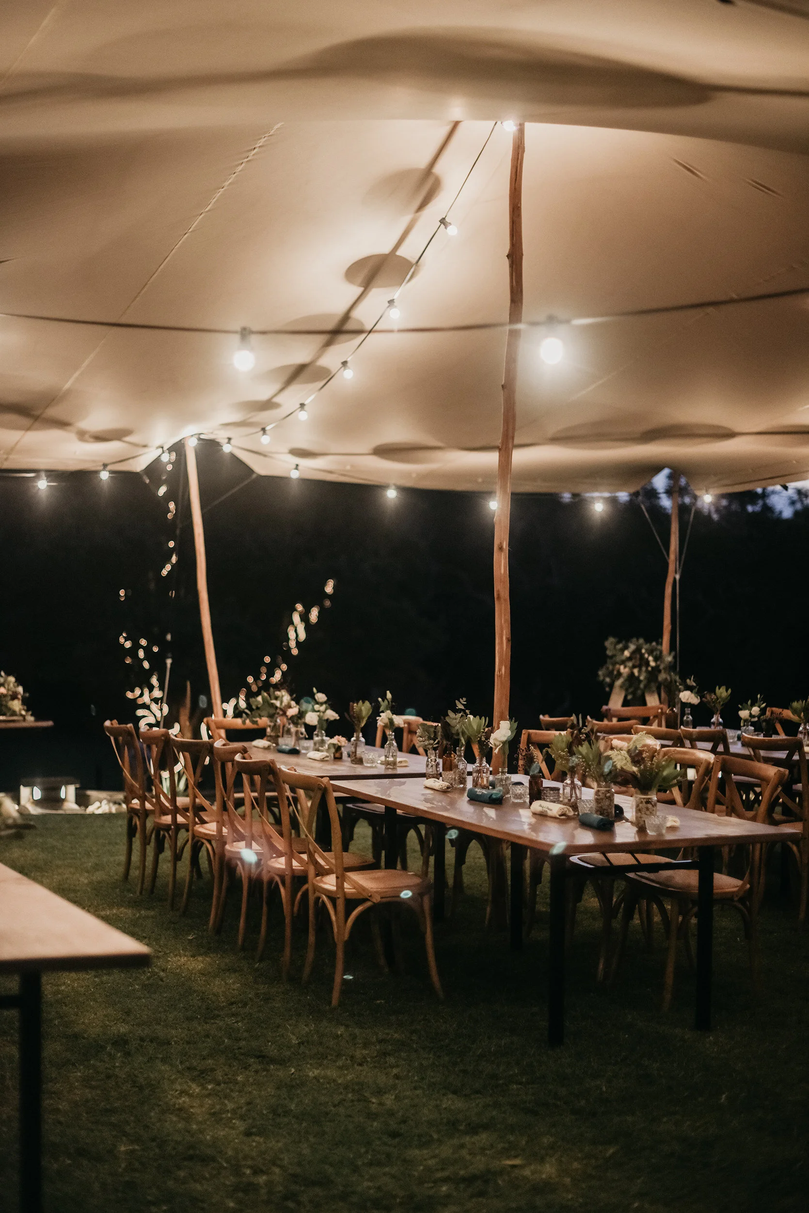 Festoon Lighting Emily.JPG