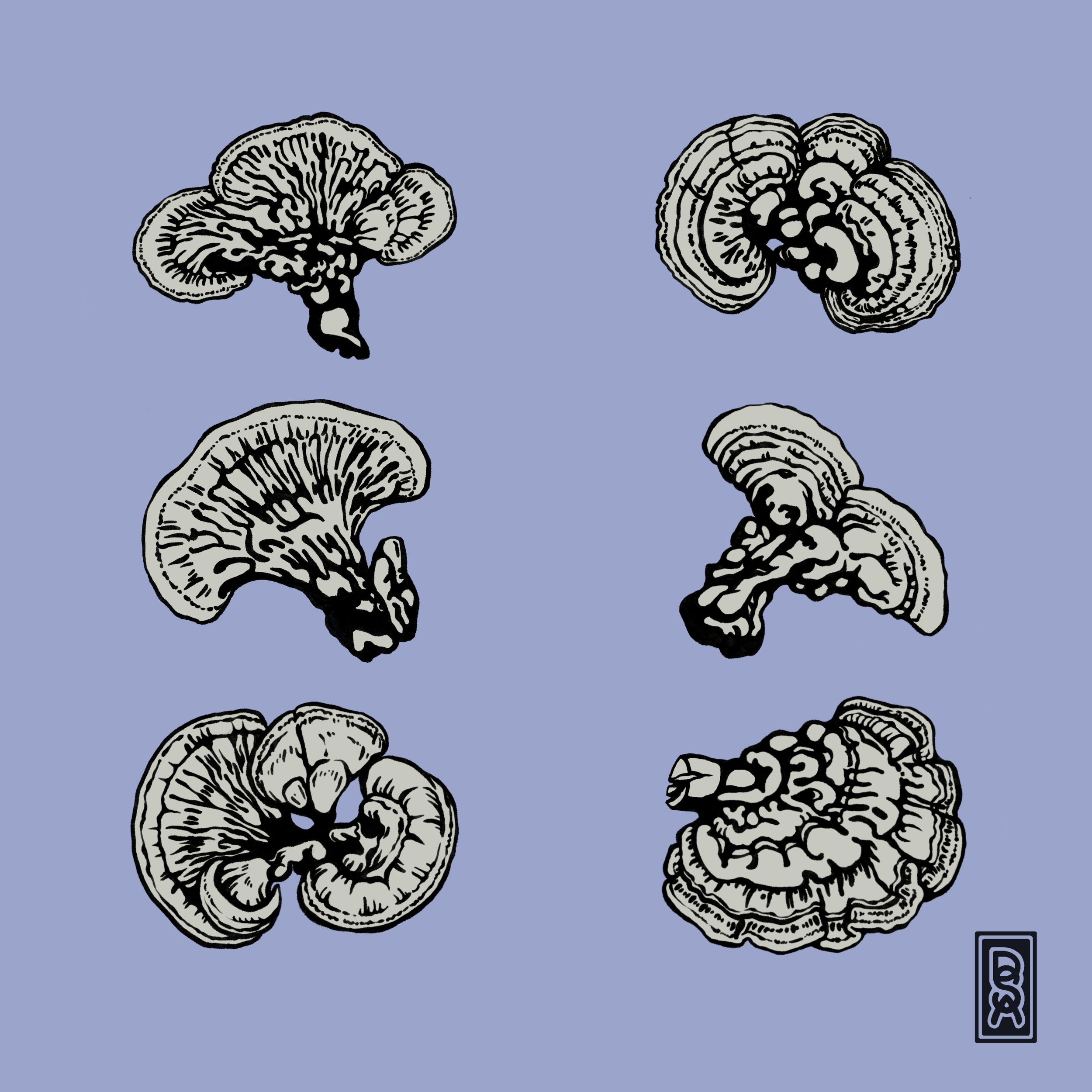 DB64BED6-49B2-48E6-AA3E-C086C5B0979B - Copy.png