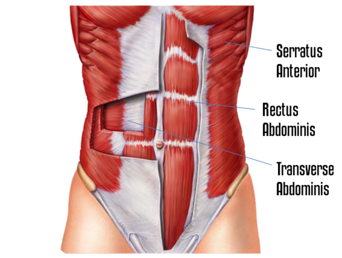 Screen Shot 2021-01-06 at 2.29.53 PM.png