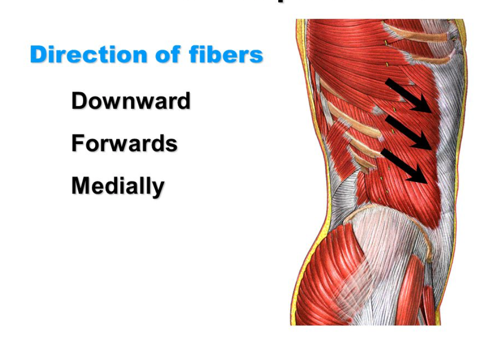 Screen Shot 2021-01-06 at 3.08.17 PM.png