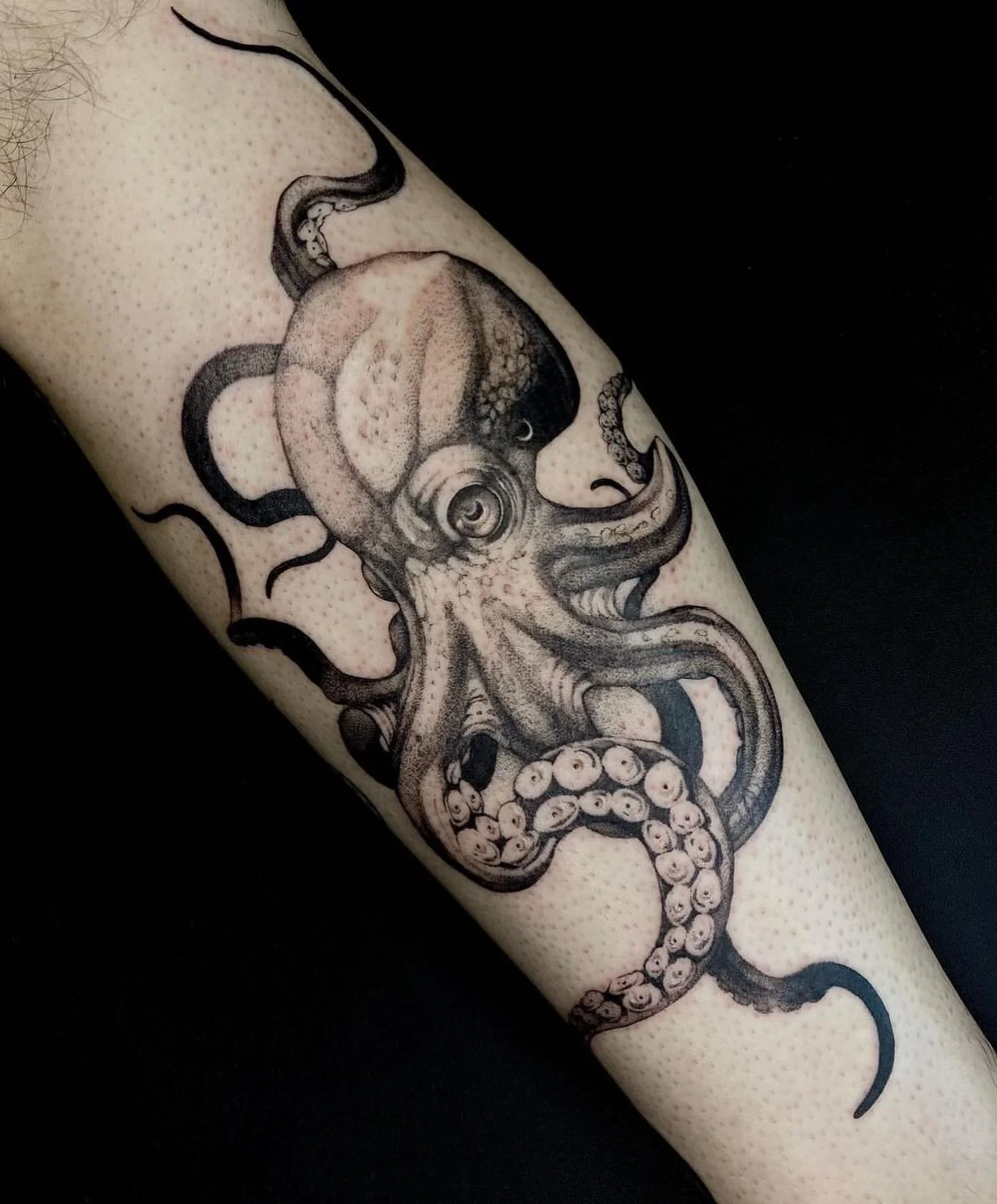 Shark Vs Octopus Tattoo