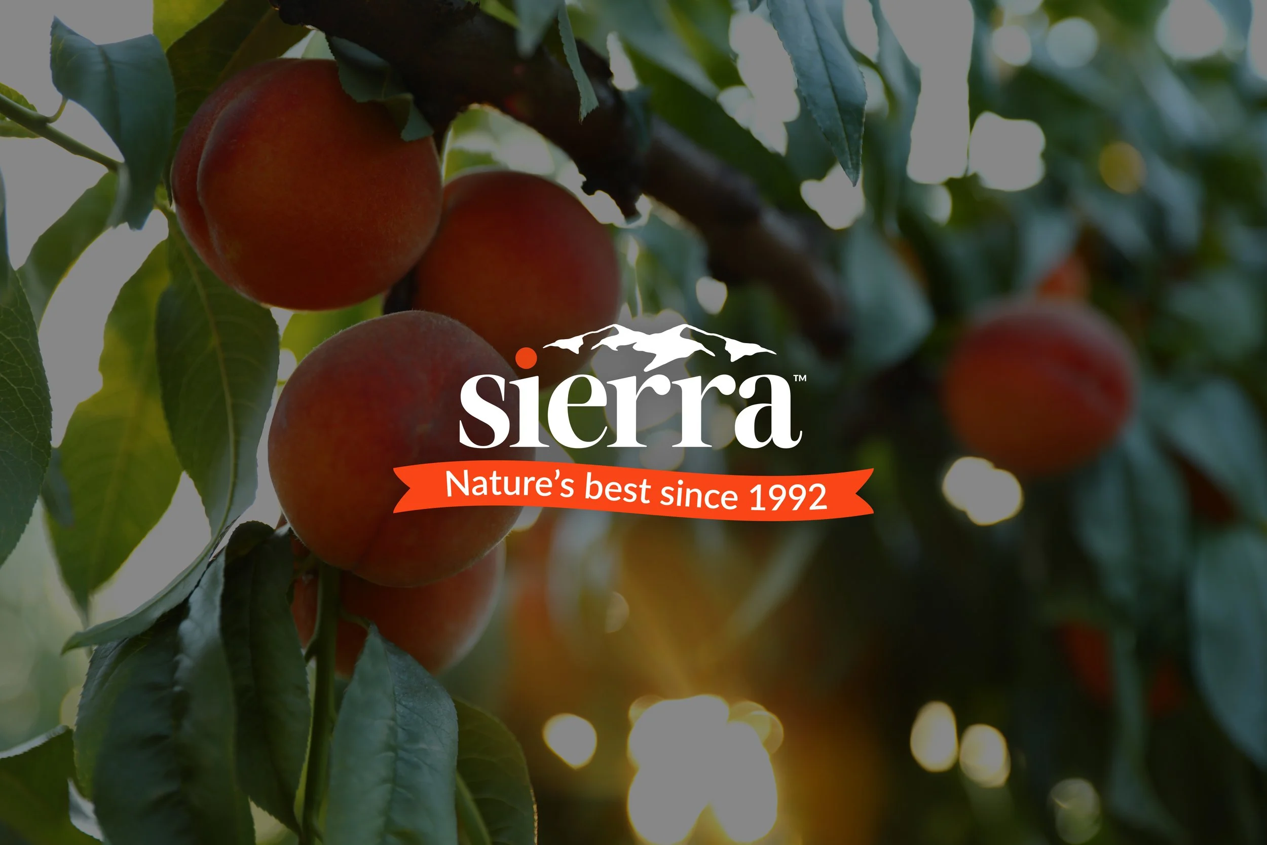 Sierra - foto 1