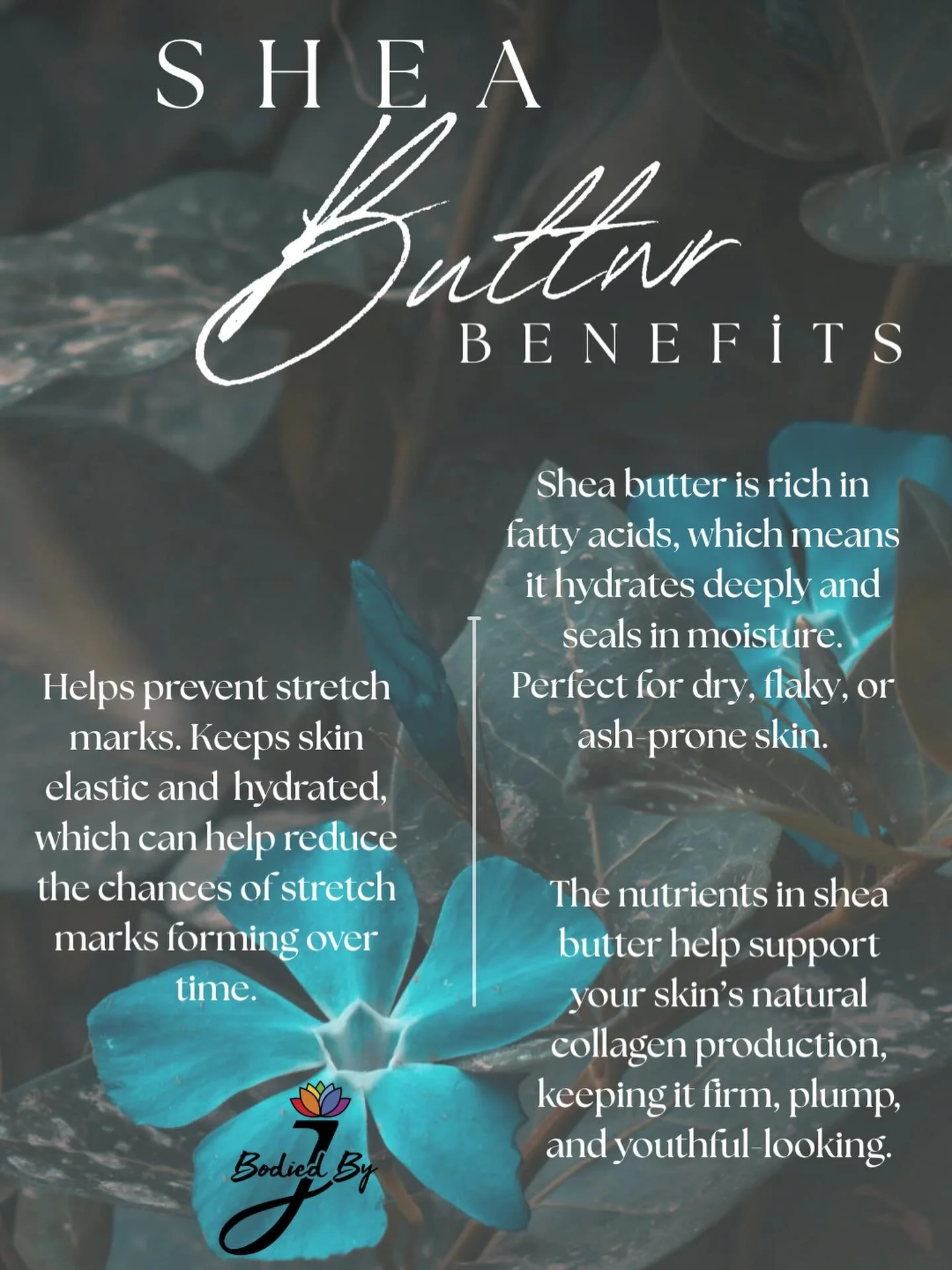 Consistency of using Shea butter has so many benefits!