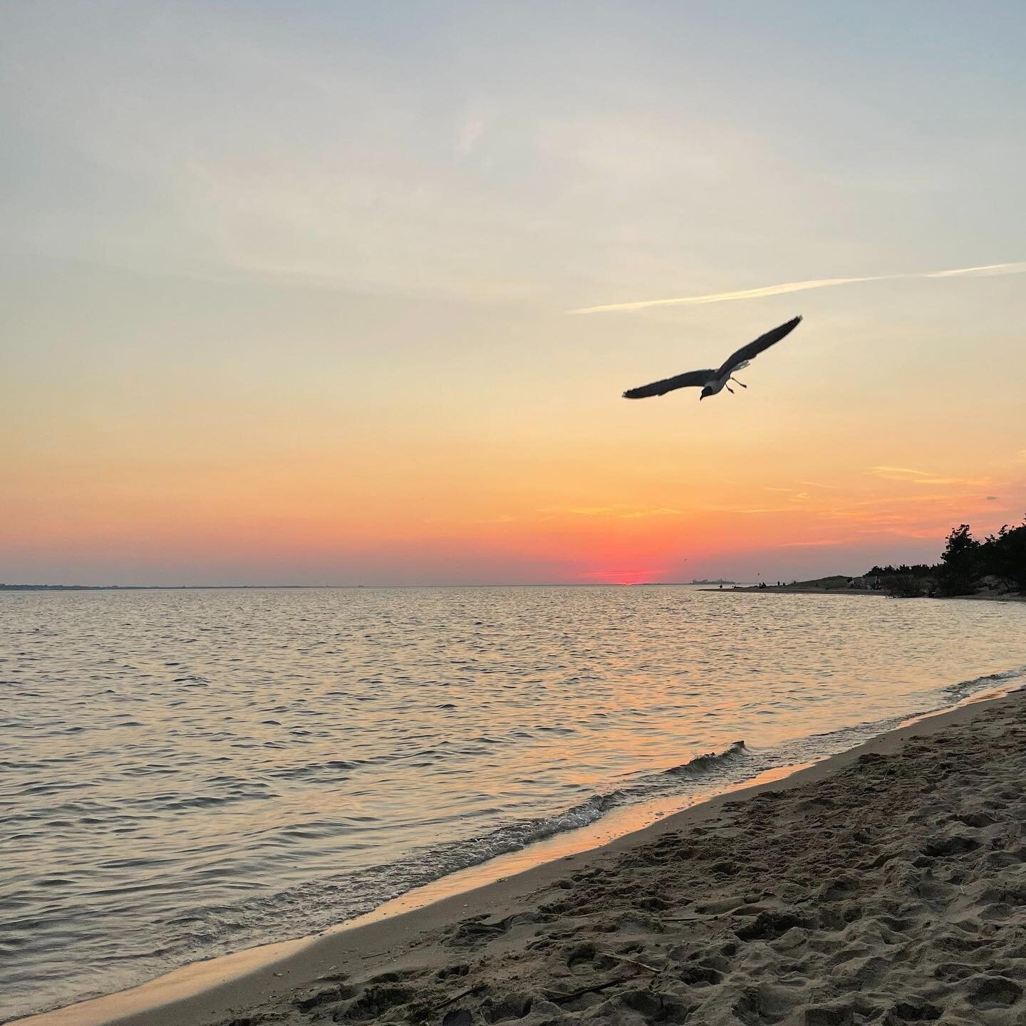 As the sun sets on this (unofficial) last weekend of summer, take time to soak it all in! ☀️🏖😎
#diane_durocher_interiors
#newjerseydesign
#njinteriordesign
#homeinspiration
#njdesigner
#bergencountydesigner
#njasid
#bergencountynj
#parkridgenj
#mah