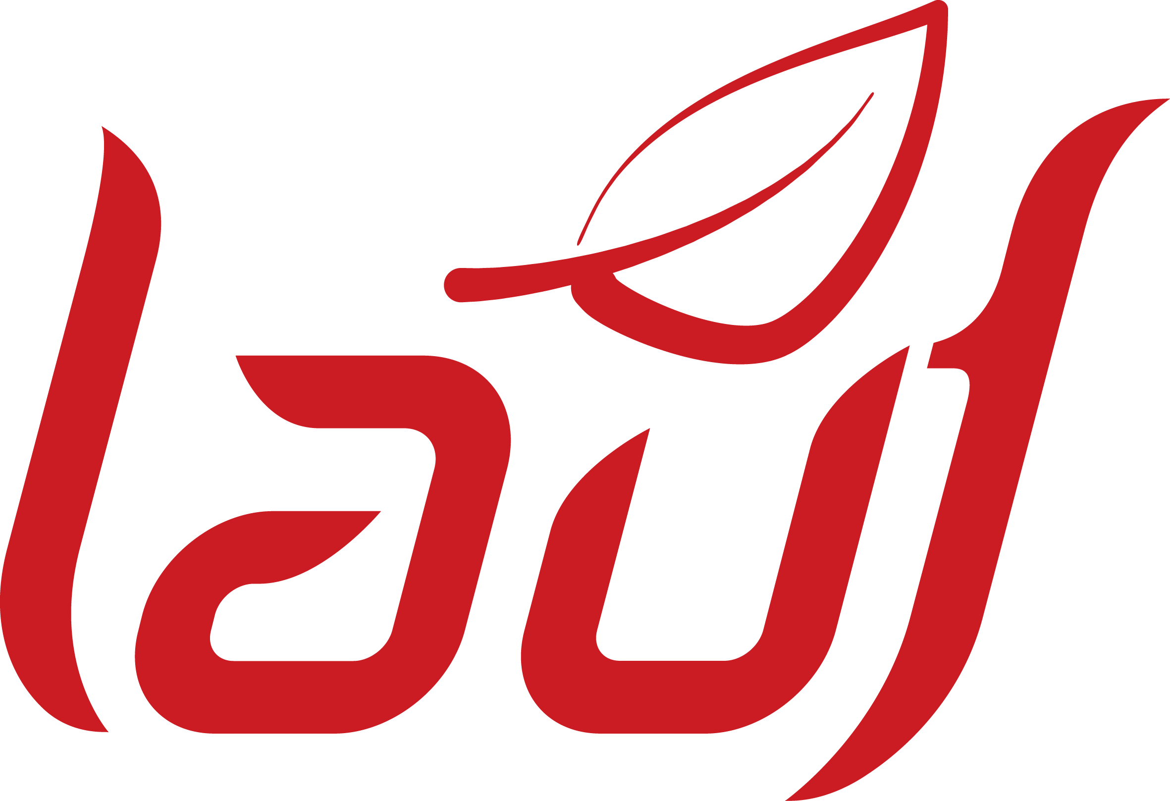 Red logo design with abstract leaf elements and stylized text.