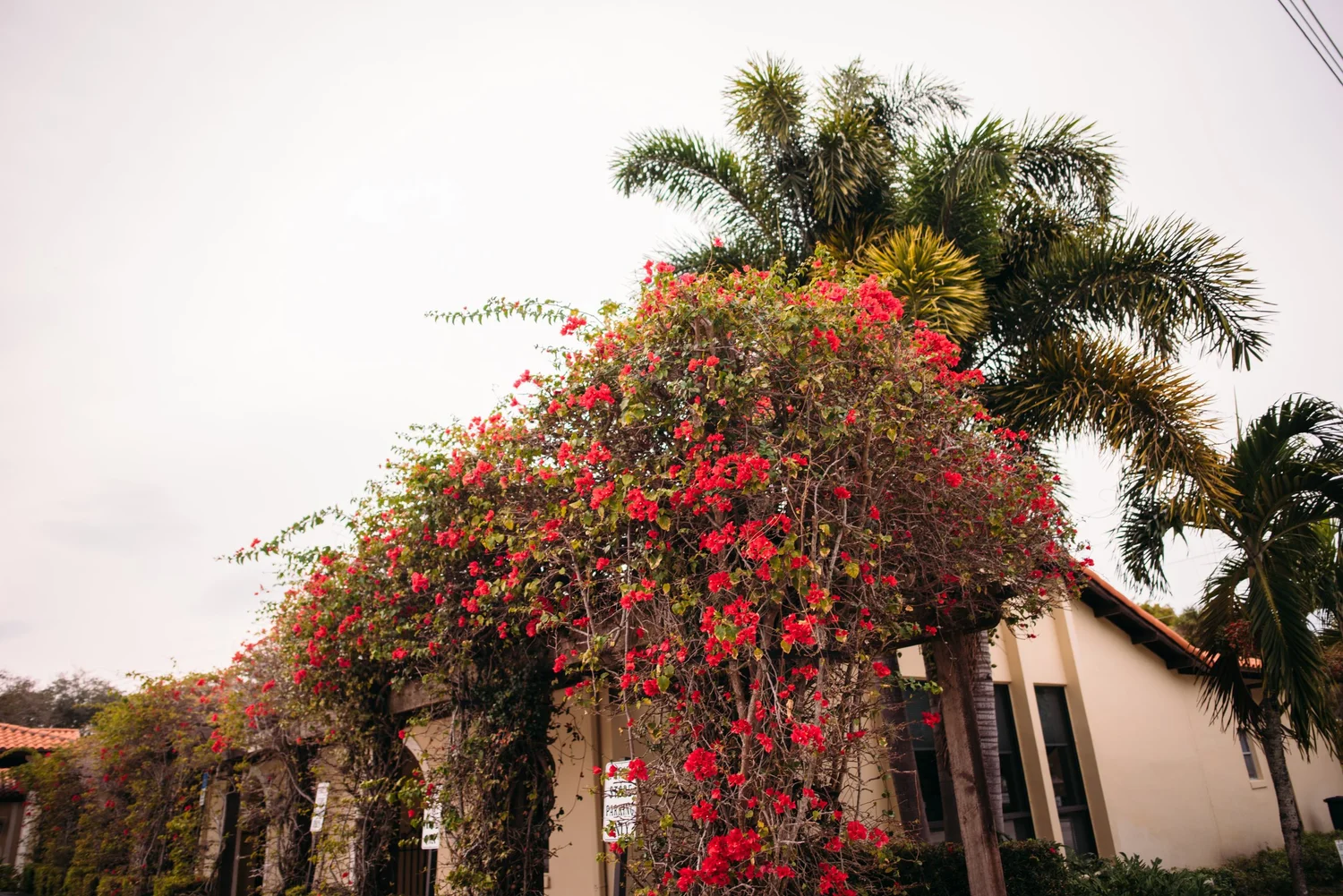 The Courtyard Downtown