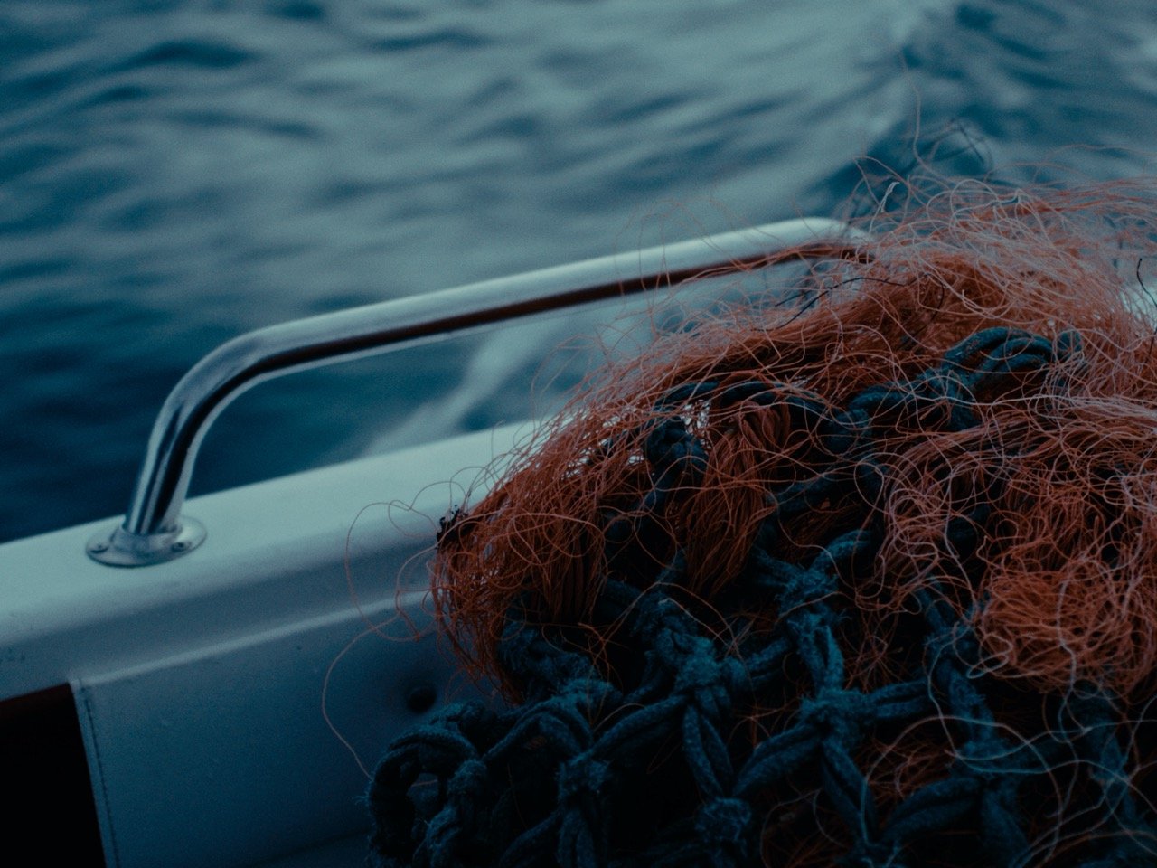 “SEATRUST” by Ryan Charsville