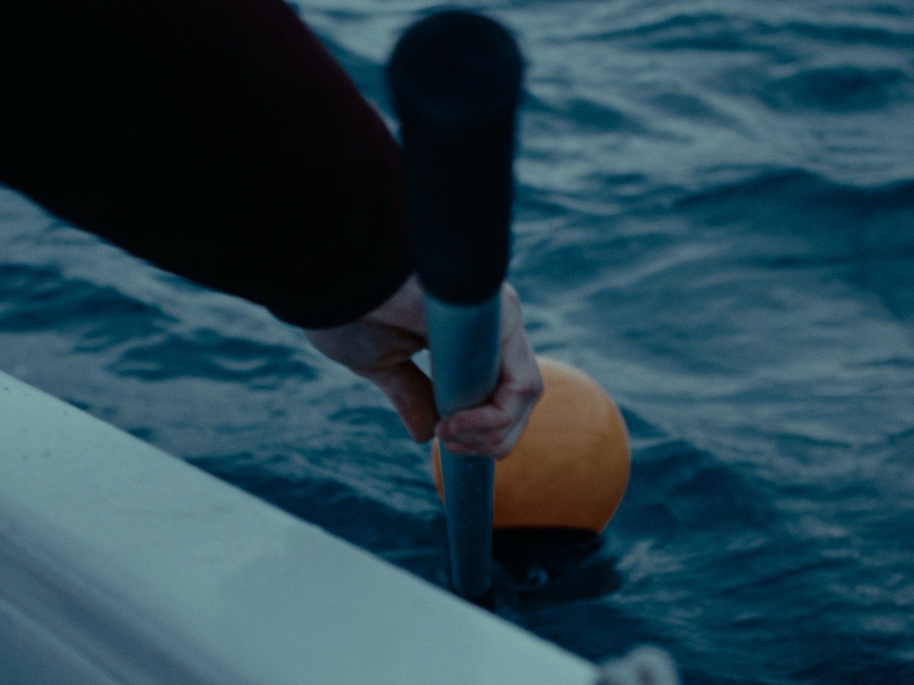 SEATRUST_MASTER_4x3_6K_V5_00_03_05_02 Large.jpeg