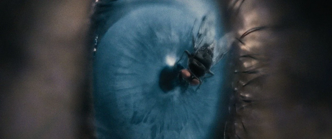 PINPOINT_FILM_STILL_03 Large.jpeg