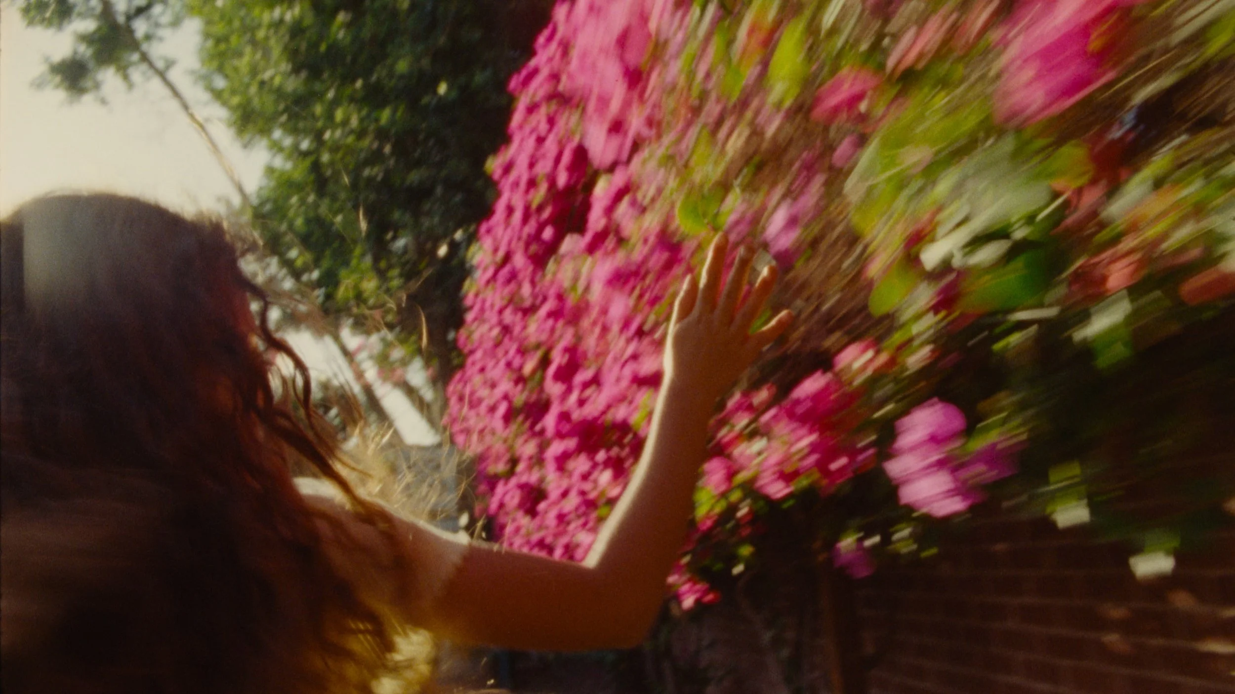 Hide & Seek 11-min.jpeg