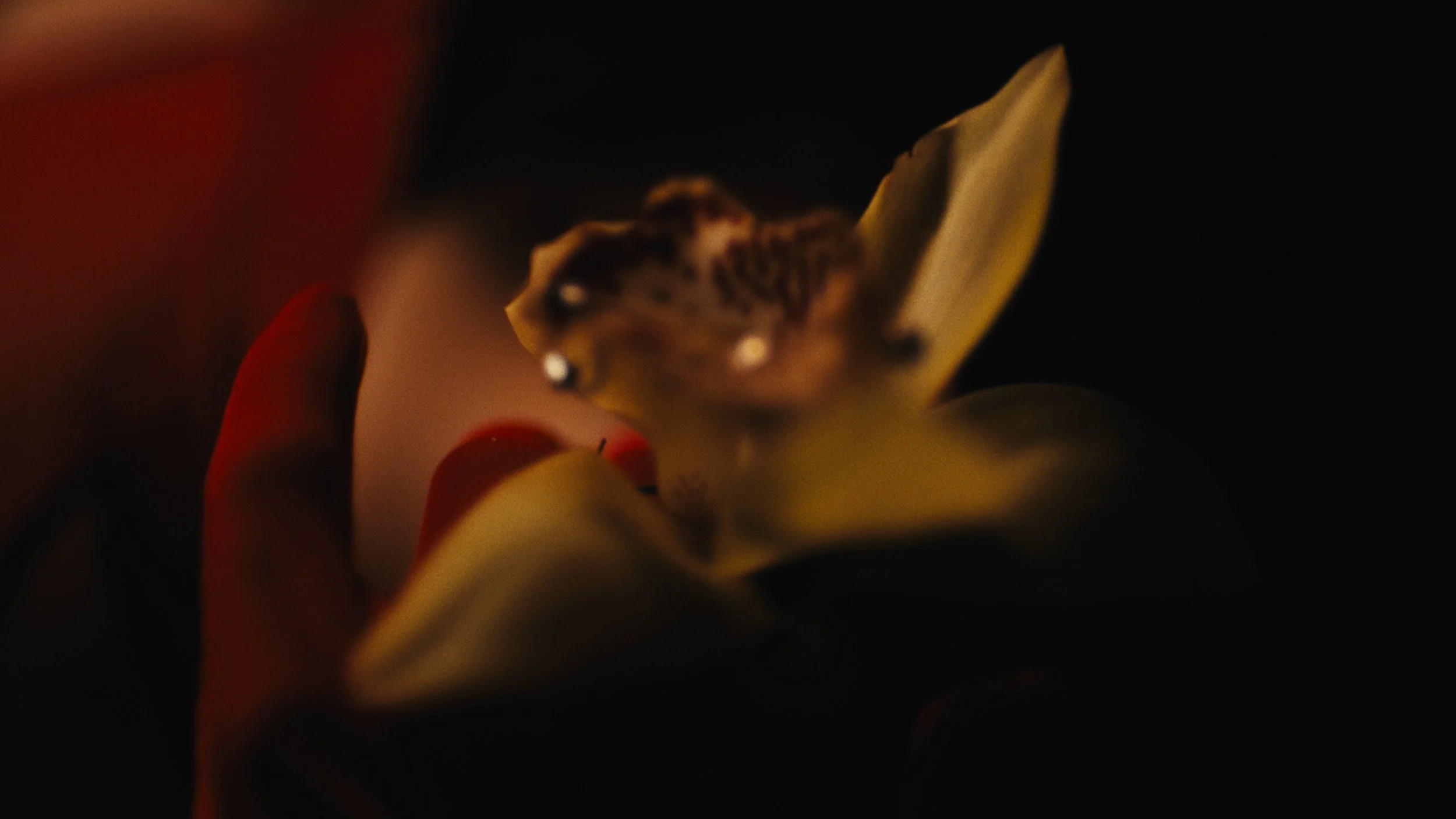 Still_11.jpg