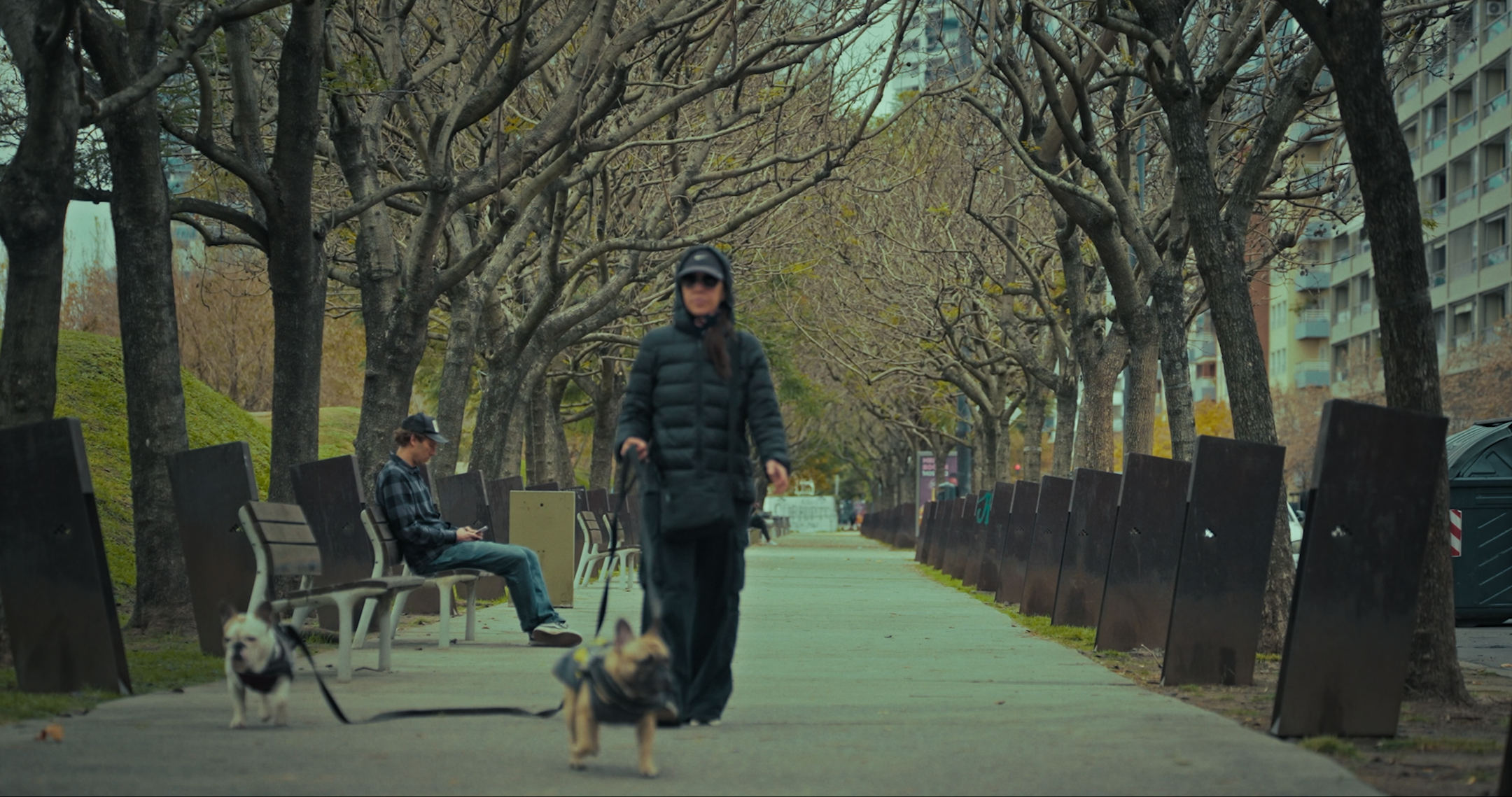 El_Sojero_tree rows_1.png