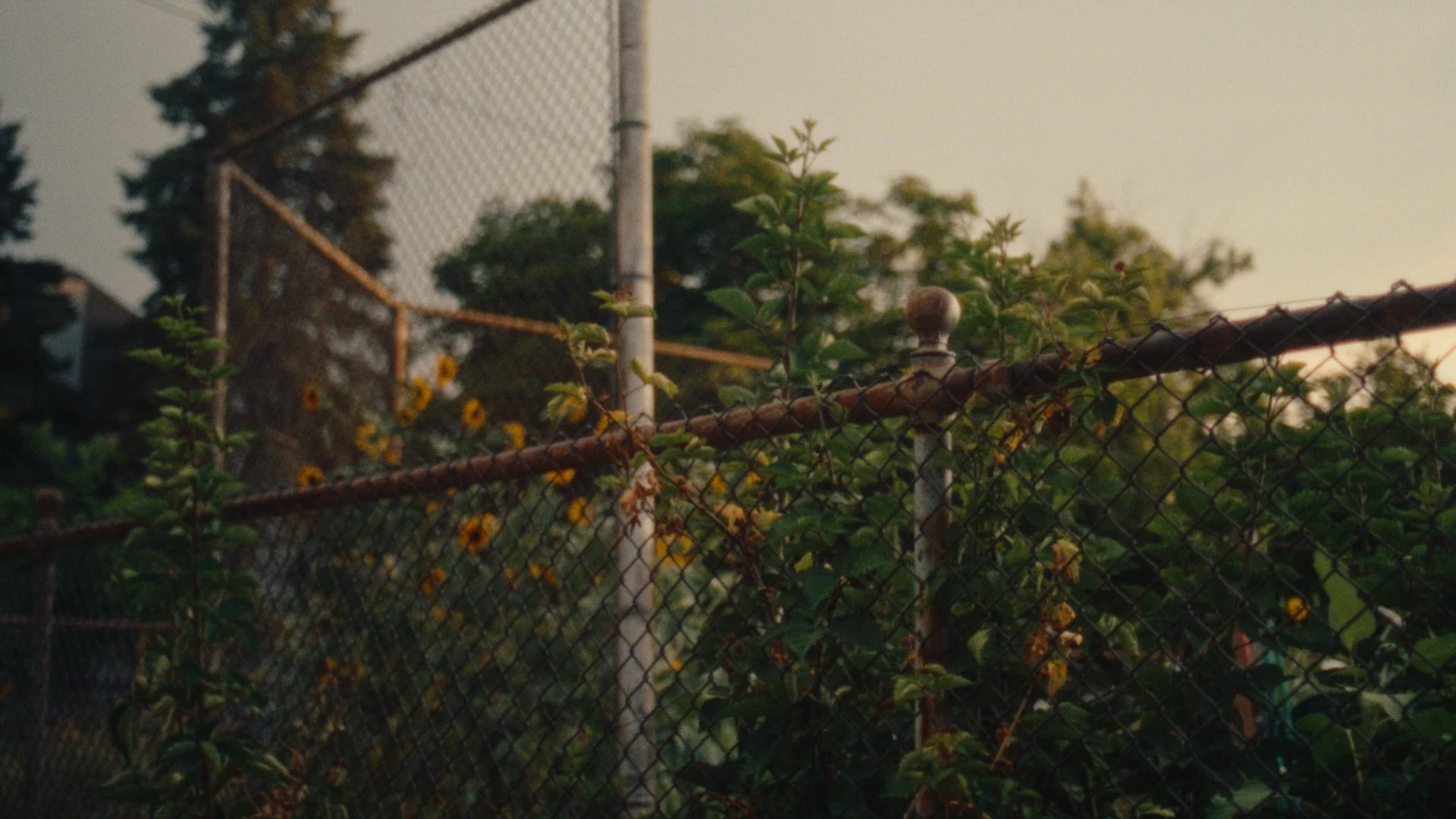 Still 2025-02-12 143243_1.16.1.jpg