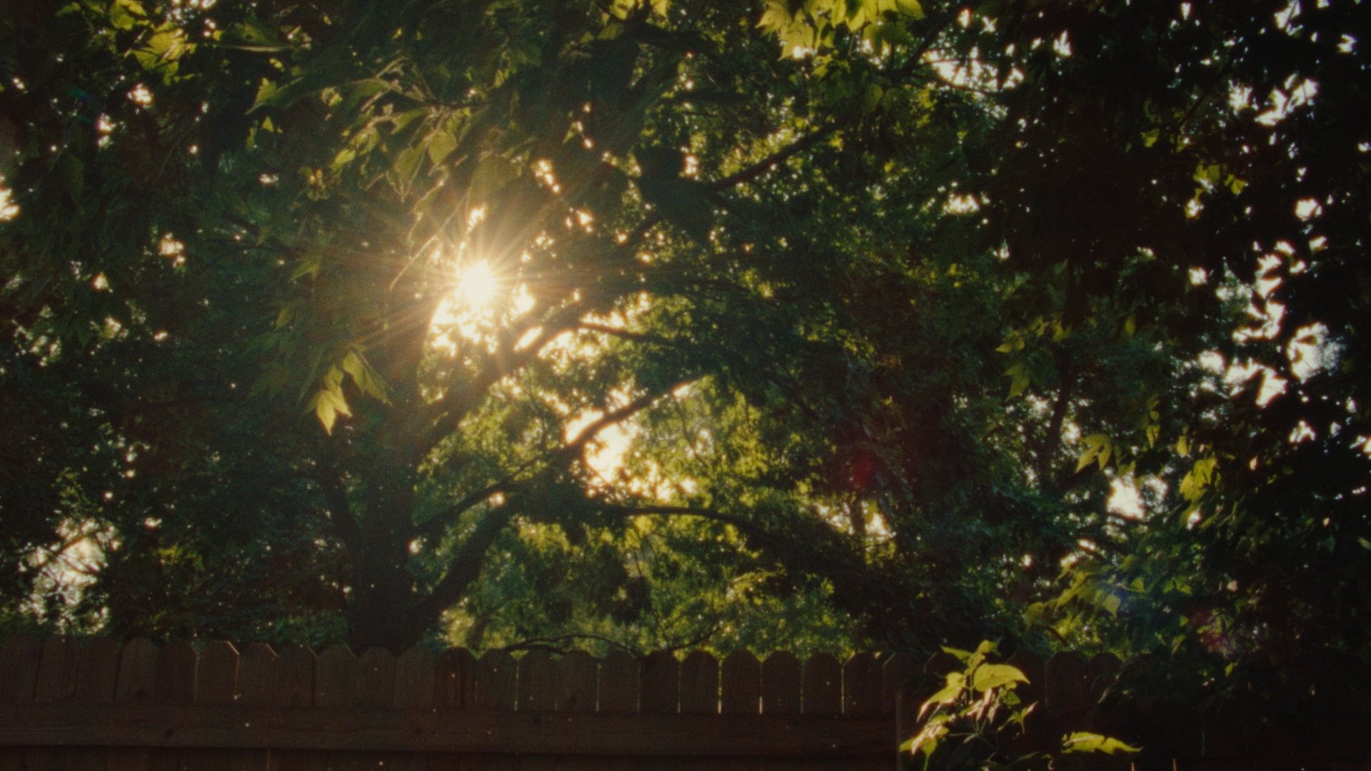 Still 2025-02-12 143243_3.3.1.jpg