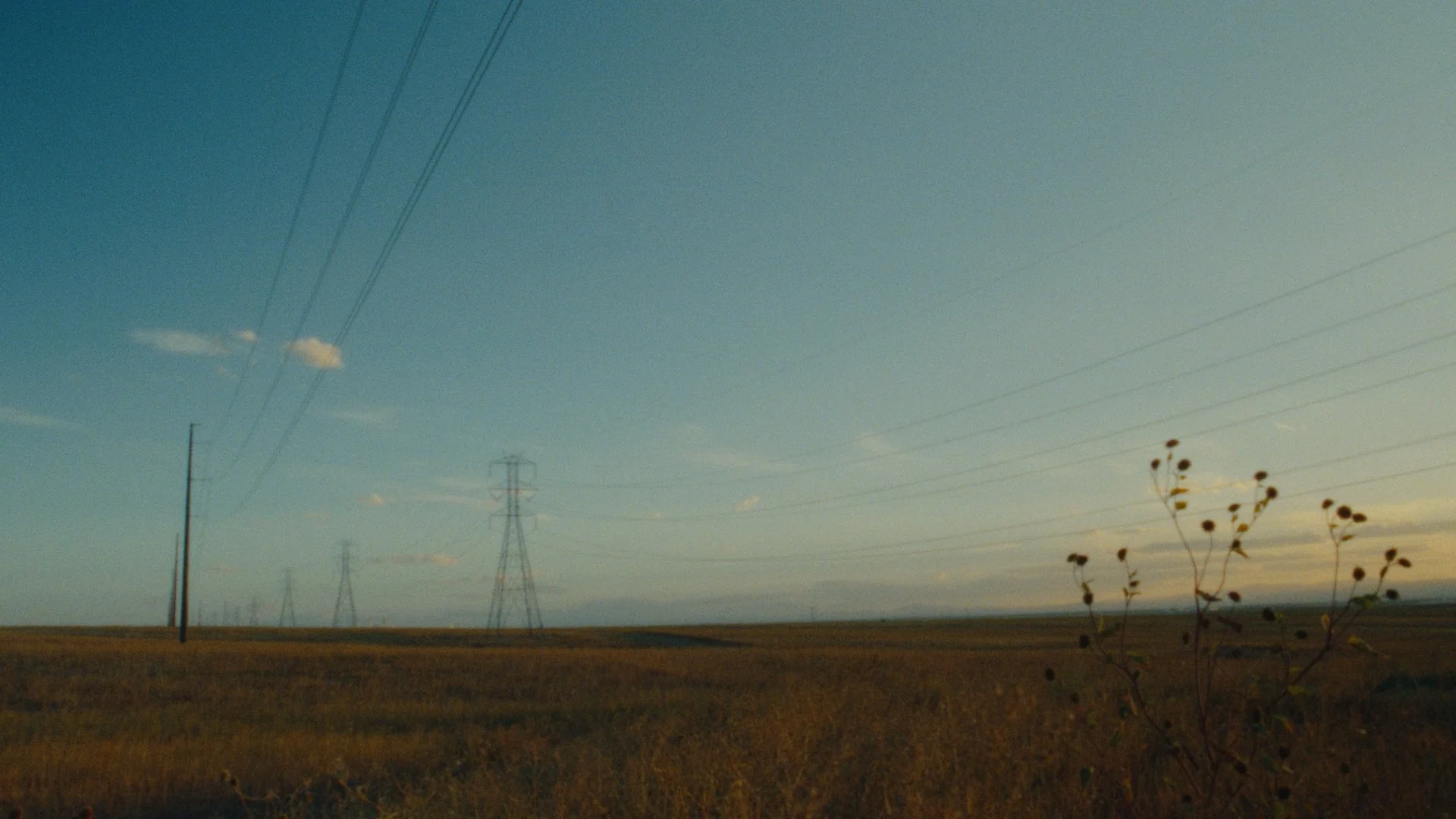 Still 2025-02-12 143243_2.1.1.jpg