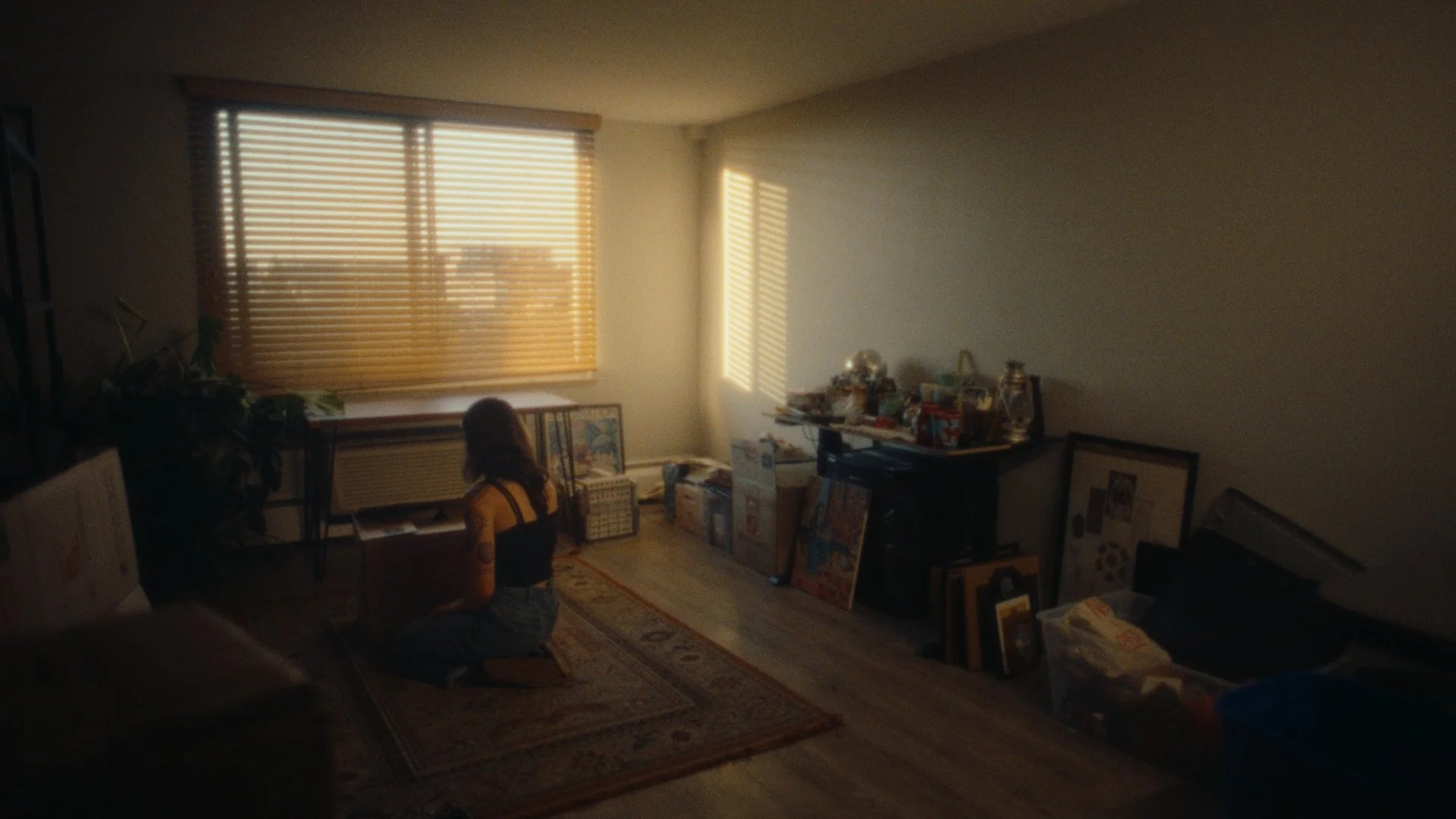 Still 2025-02-12 143243_3.39.1.jpg