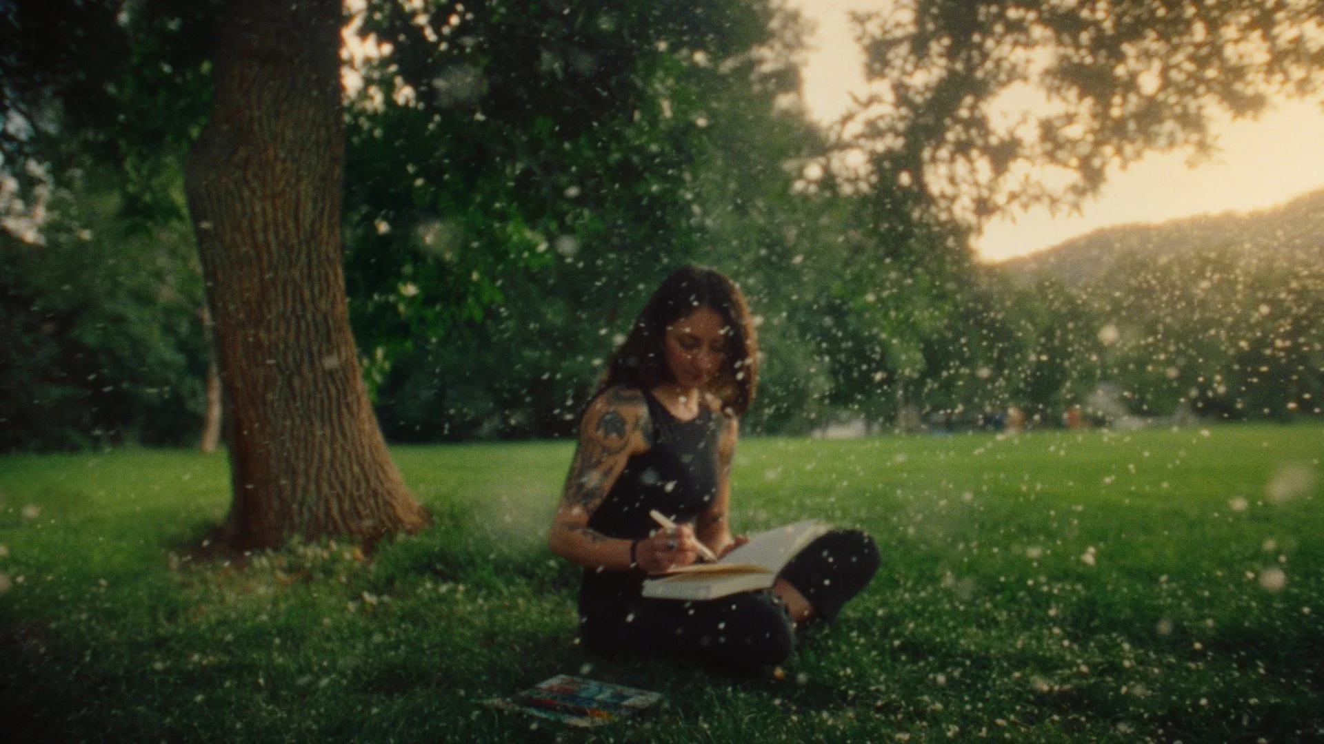 Still 2025-02-12 143243_3.70.1.jpg