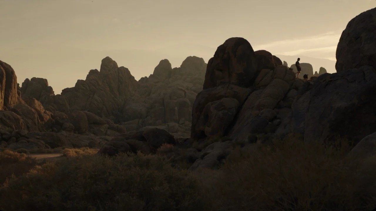 Ember_h_notext Large.jpeg