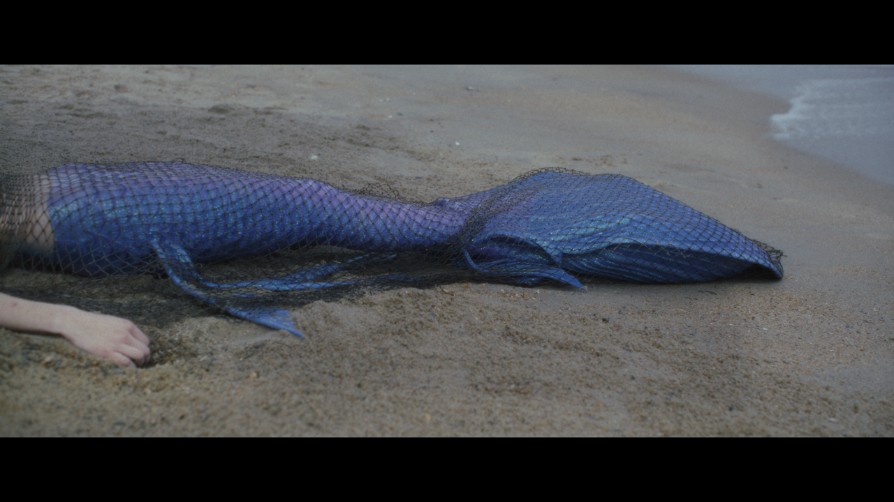 FTR-Still3 Large.png