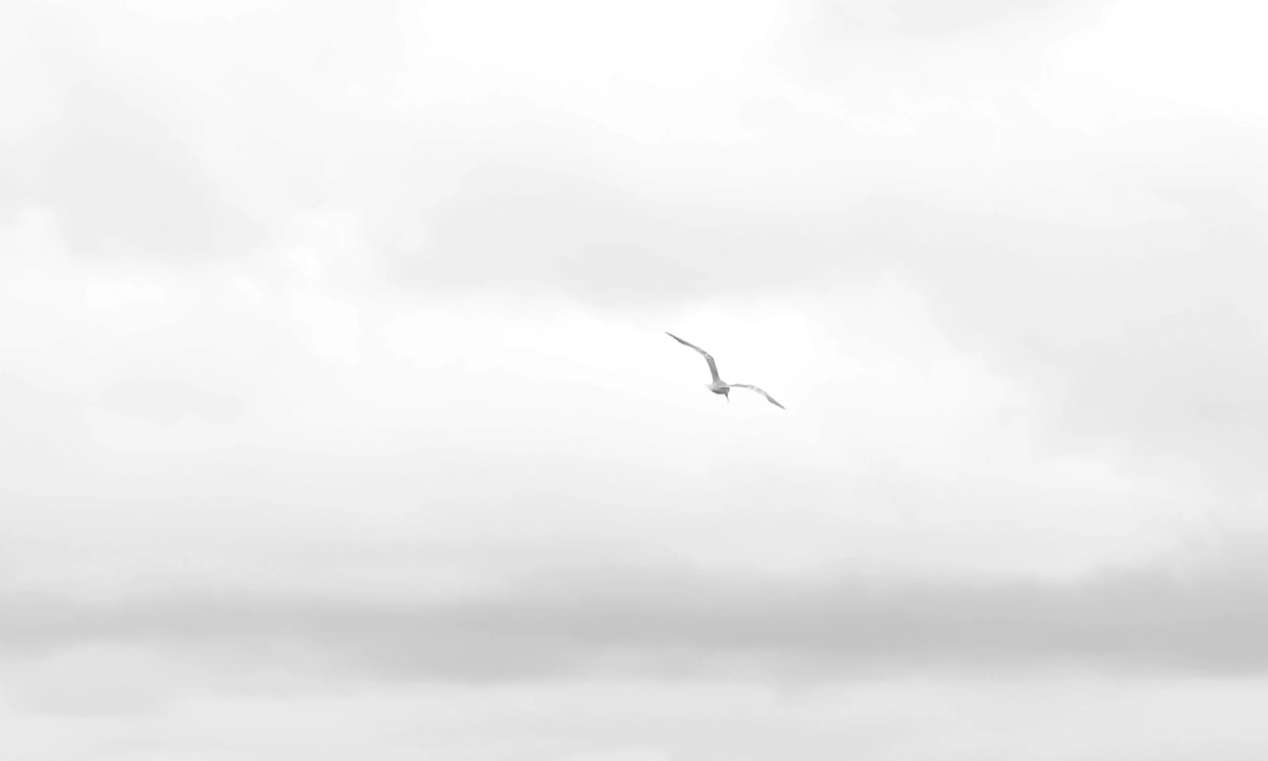 Submerged_Still 9.jpg