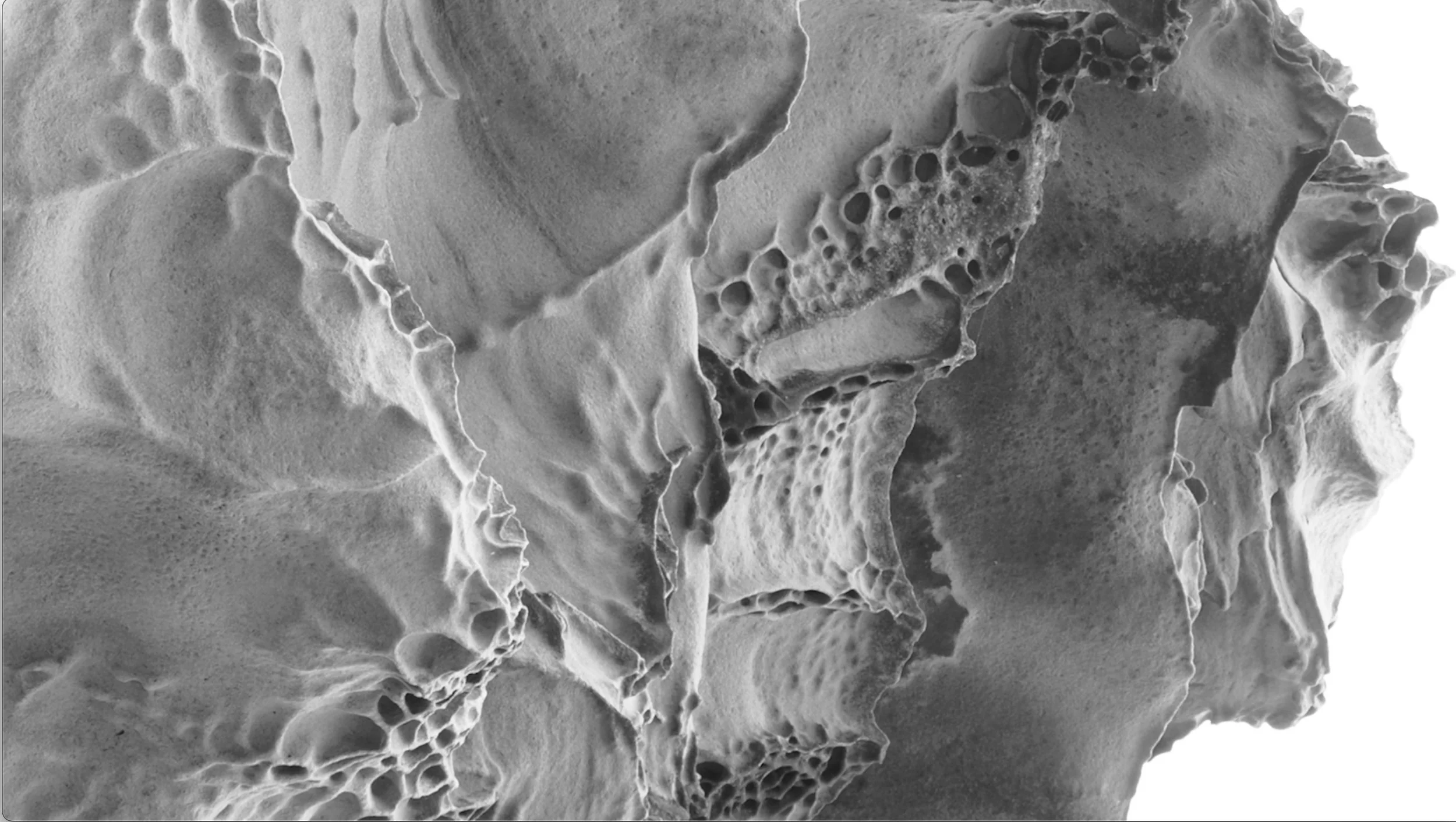 Submerged_Still 1.jpg