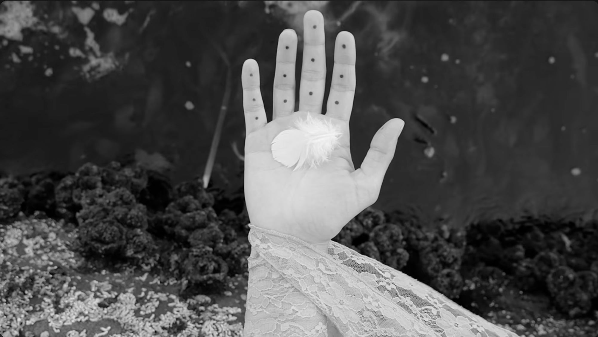 Submerged_still 4.png