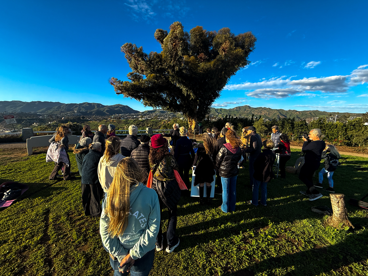 By Don Norman 3 Large.png