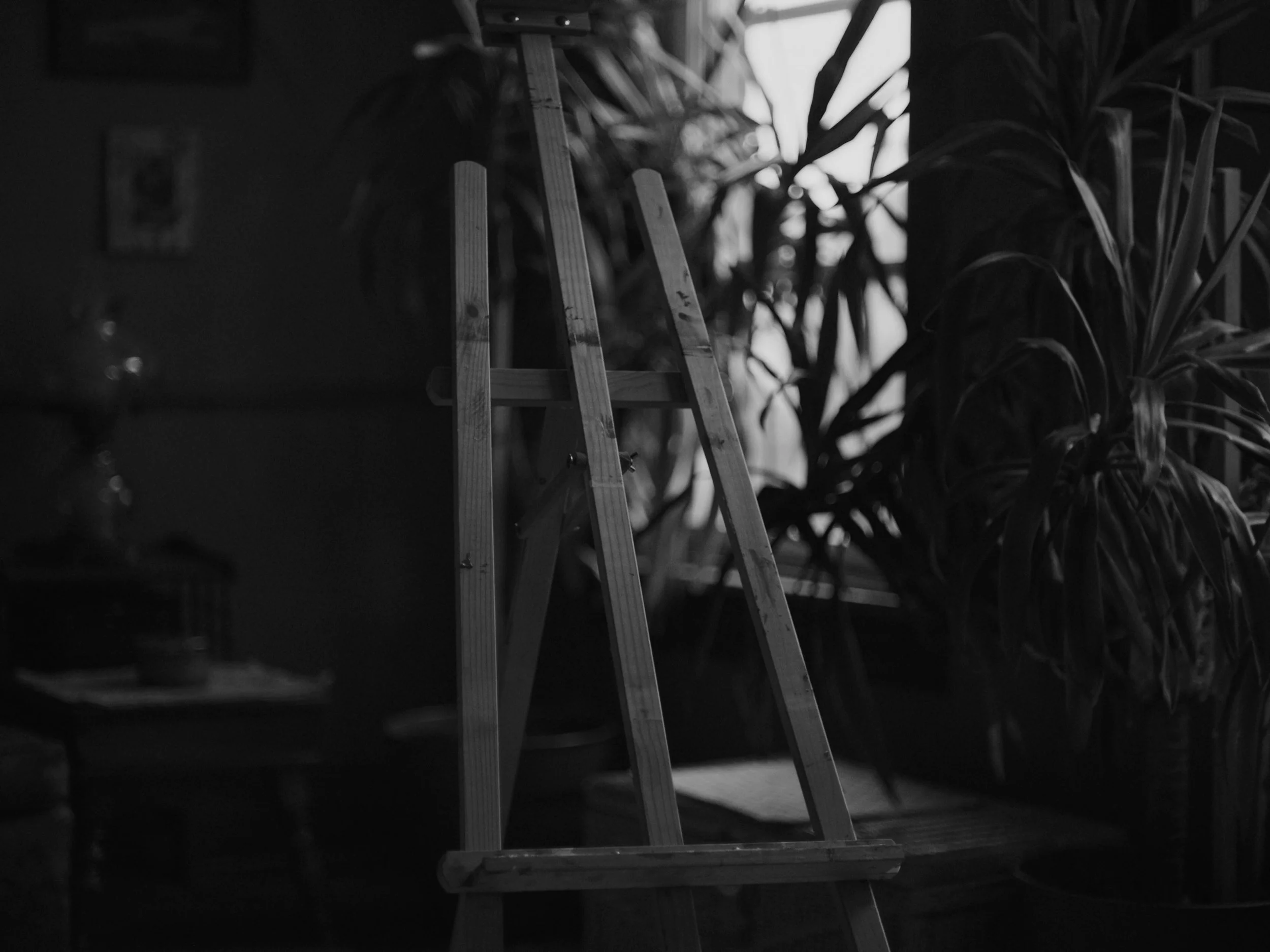 WFV STILL 29 HERO.jpg