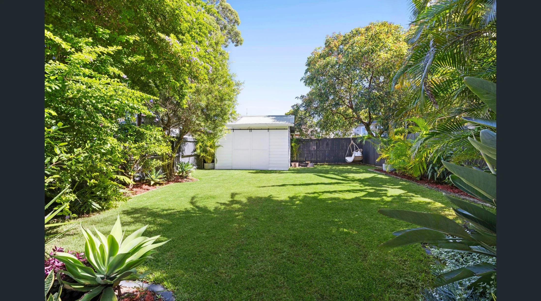 Back yard.jpg