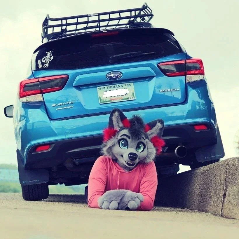 Redpaw Car.jpg