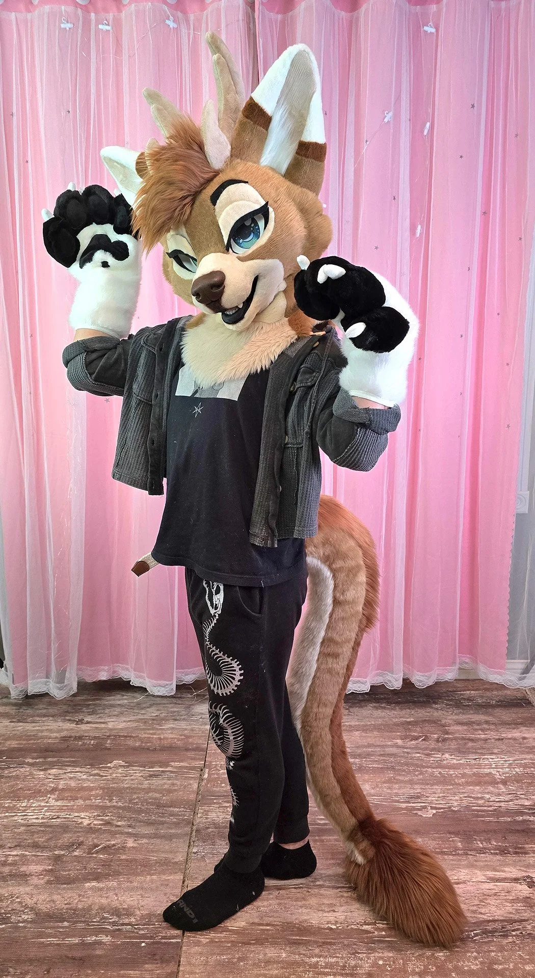 Edwin Tail.jpg