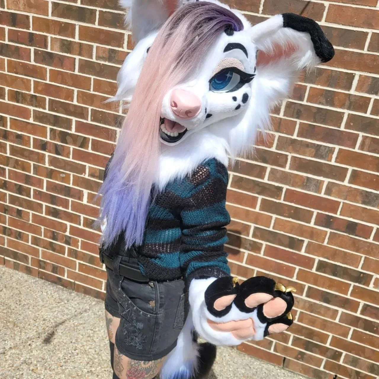 Evie.jpg