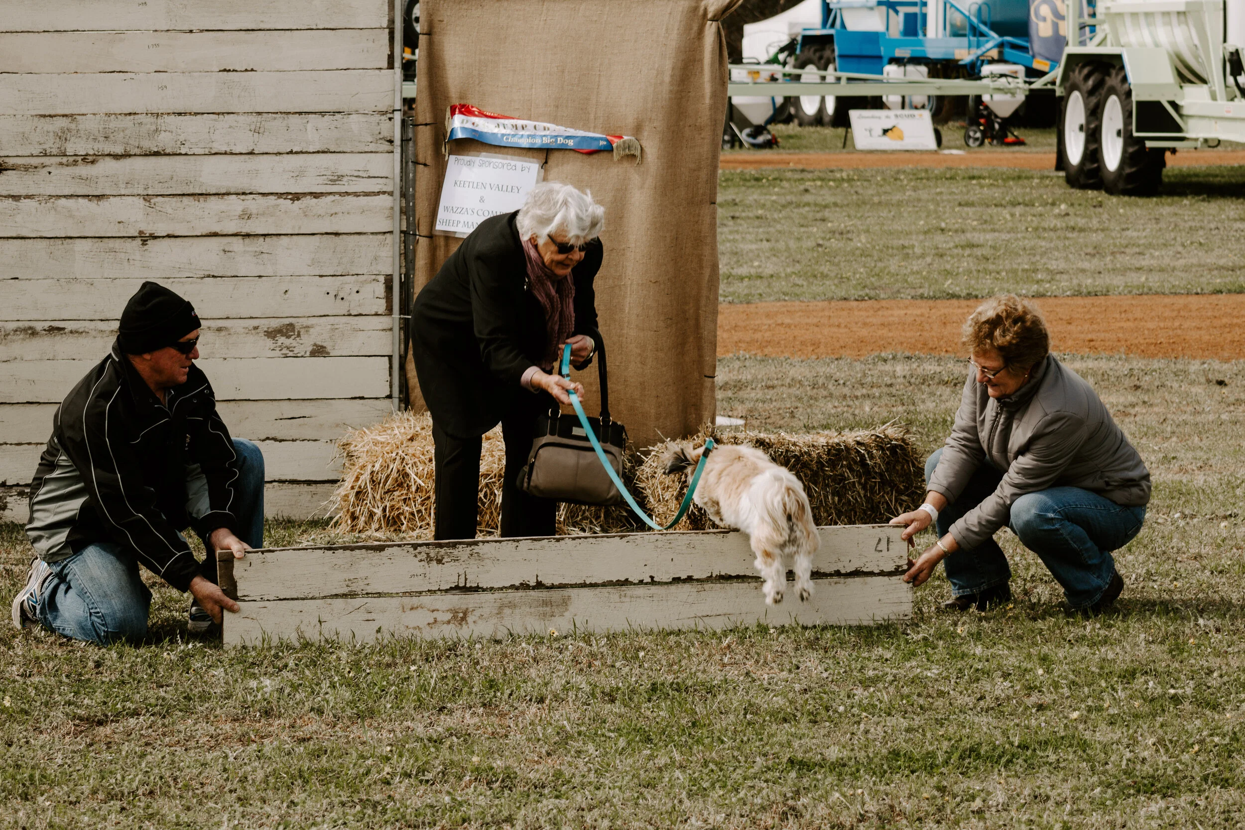 Dog Jumping Competition — Newdegate Machinery Field Days