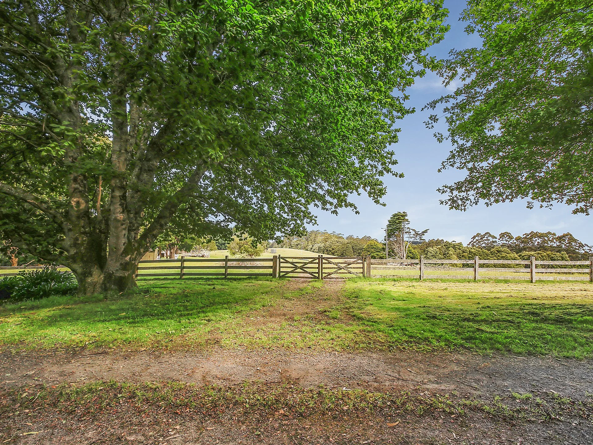 outdoors driveway.jpg