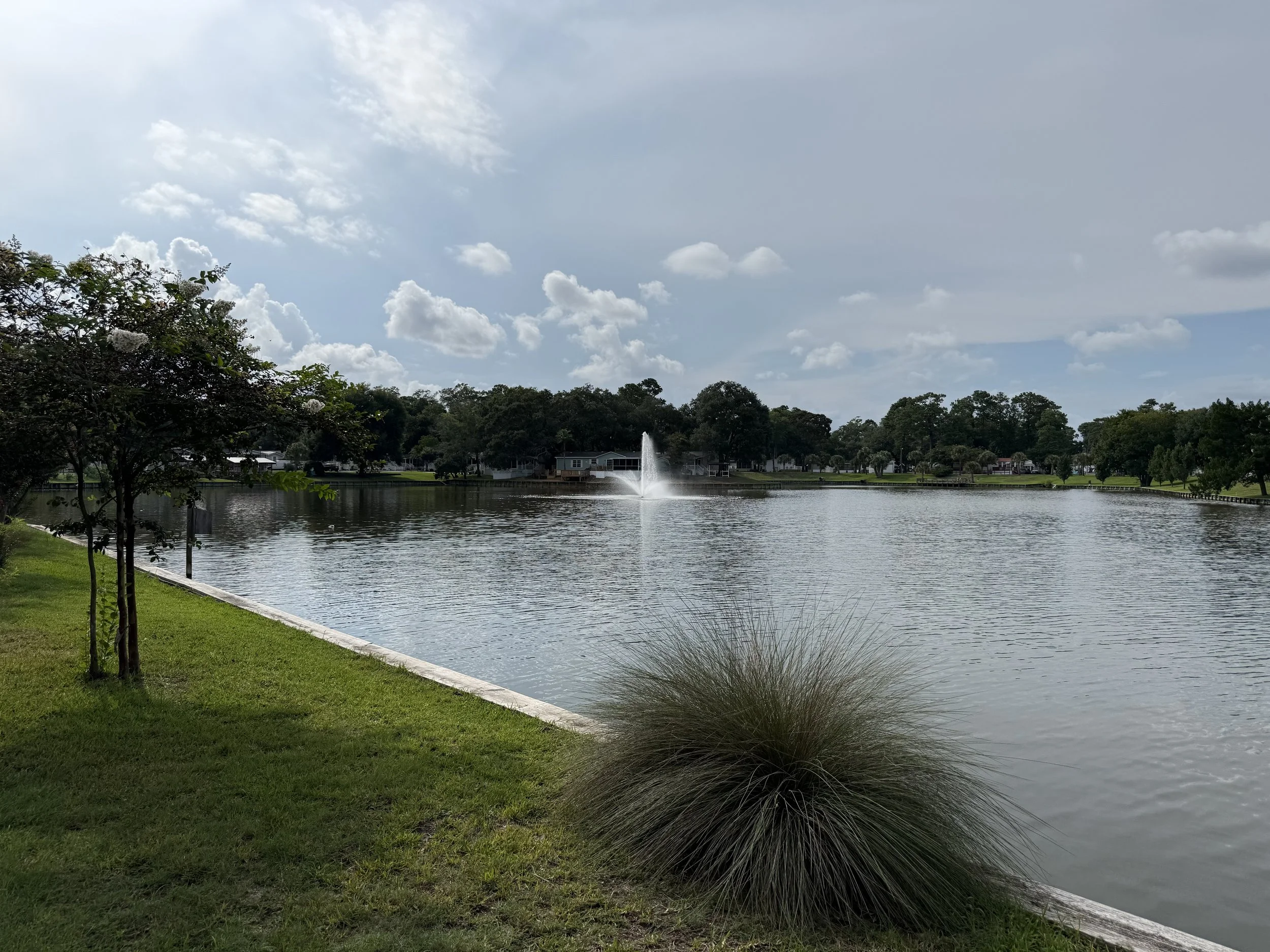 IMG_2144.jpeg