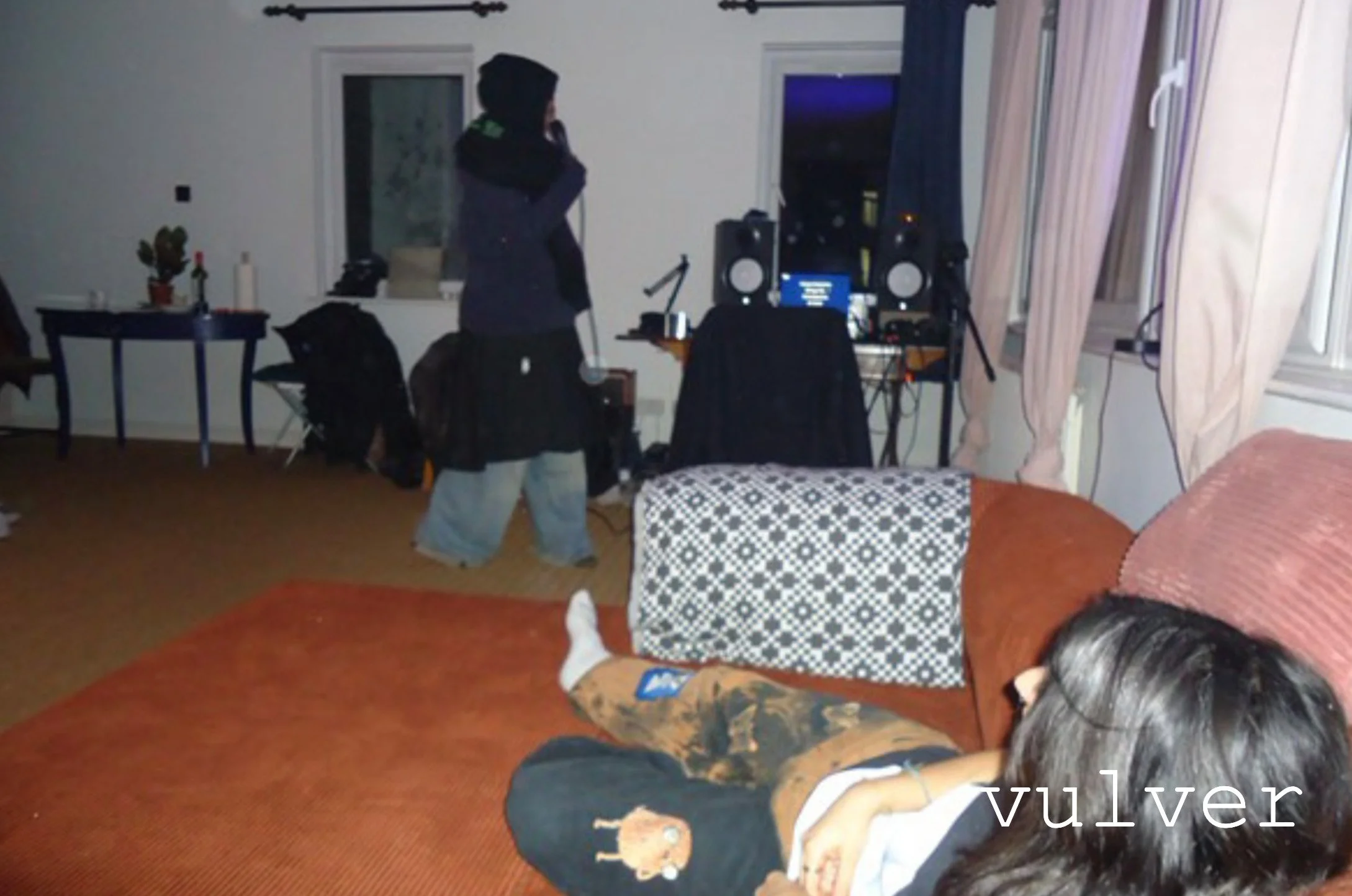 vulver website.jpg