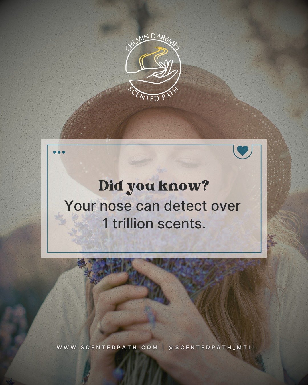 Ever smelled something and instantly been transported to a moment in time? ✨ Scents are directly linked to our brain’s limbic system, the part responsible for emotions and memories. That’s why a single whiff of lavender can remind you of