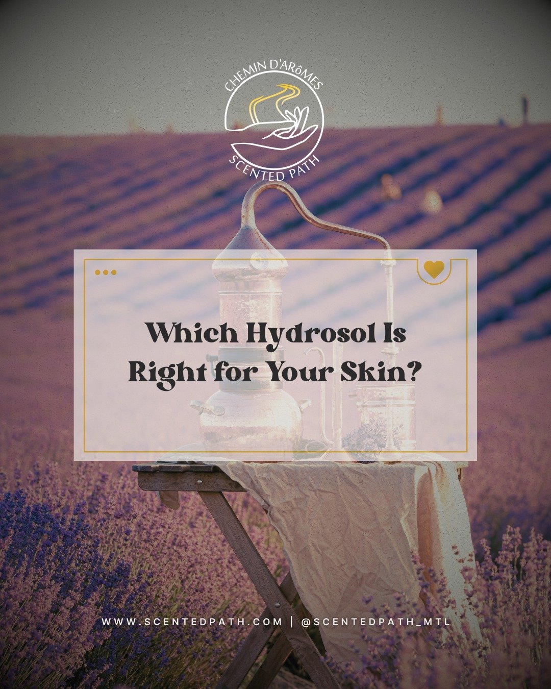 Your skin deserves more than harsh toners.
✨ Try something gentler, straight from nature.
Hydrosols are steam-distilled floral waters that tone, refresh, and hydrate—without the sting. 💧 Swipe to find out which hydrosol is perfect for your sk